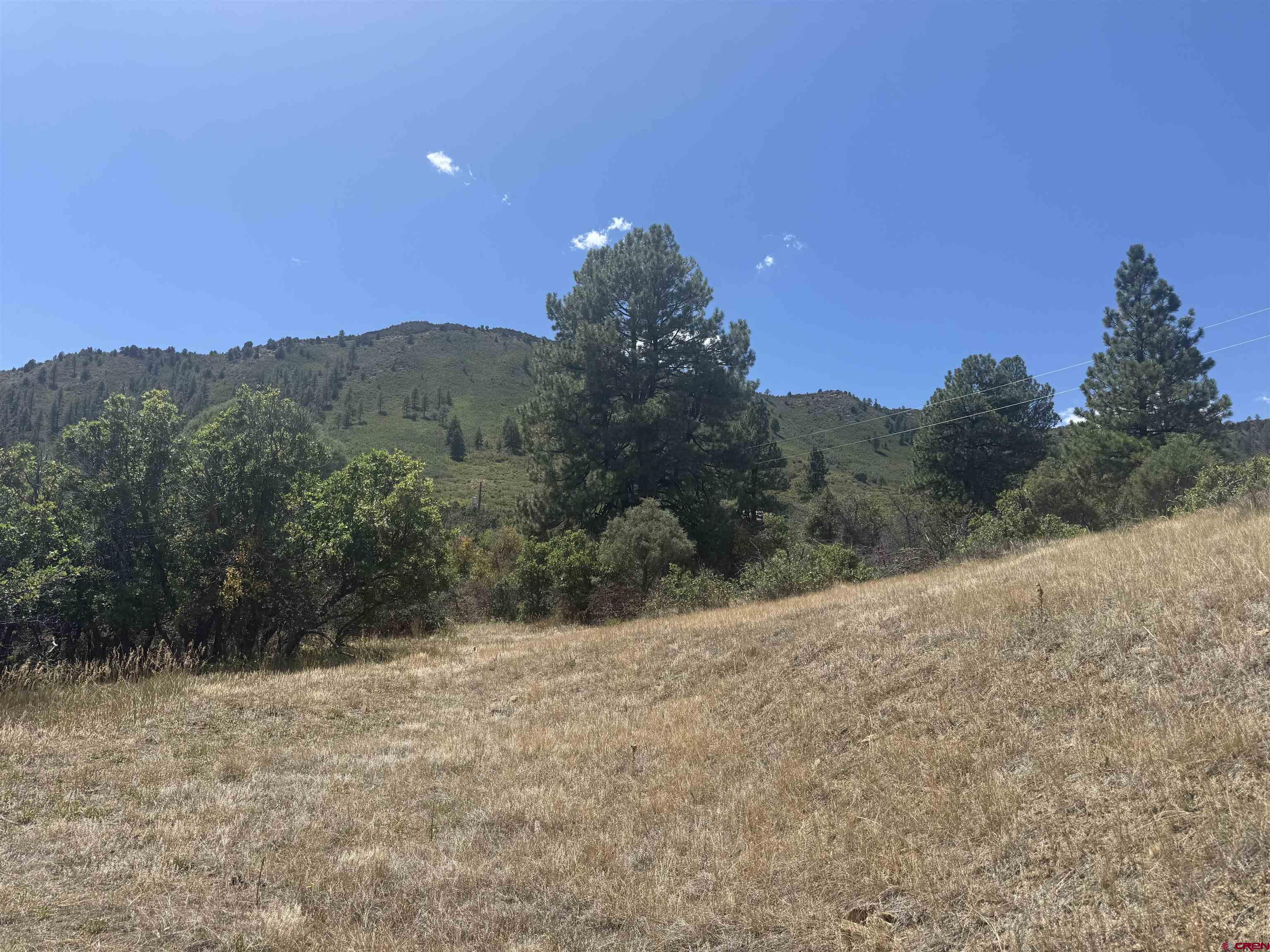 1134 Ludwig Drive