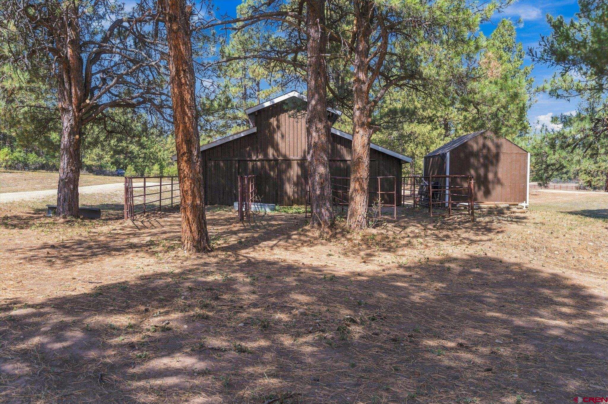 409 Old Snag Circle