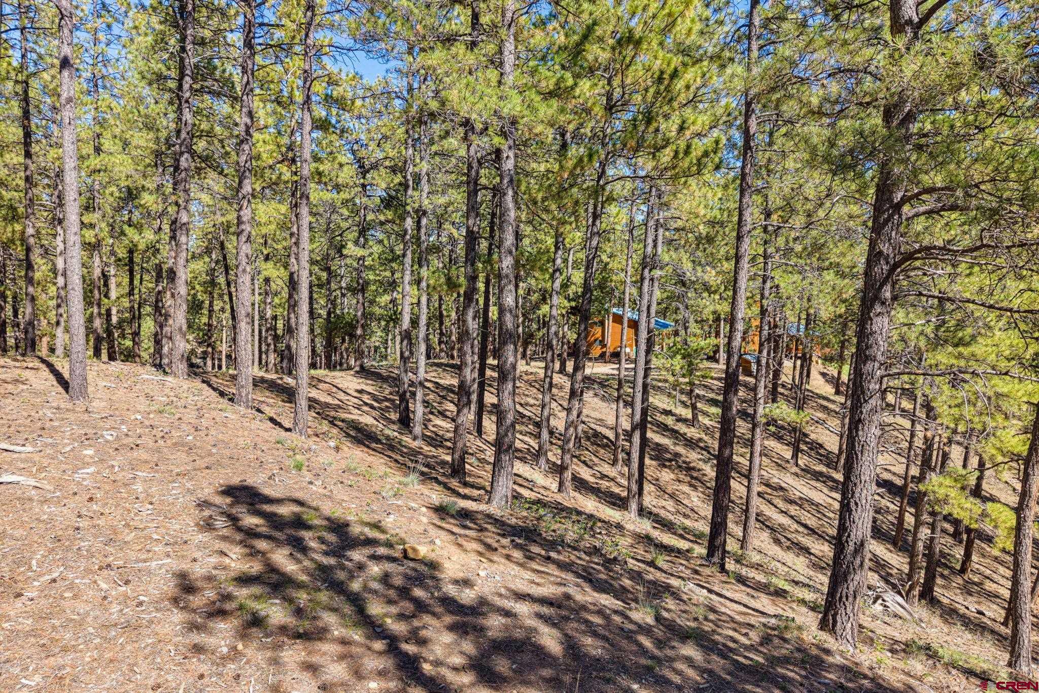 264 Badger Road