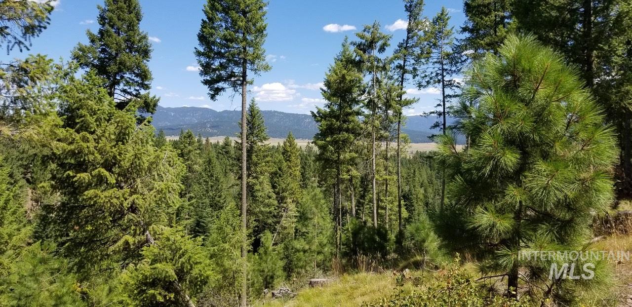 0 Lakeshore DR, Cascade, Idaho 83611, Land For Sale, Price $20,450,000,MLS 98794043