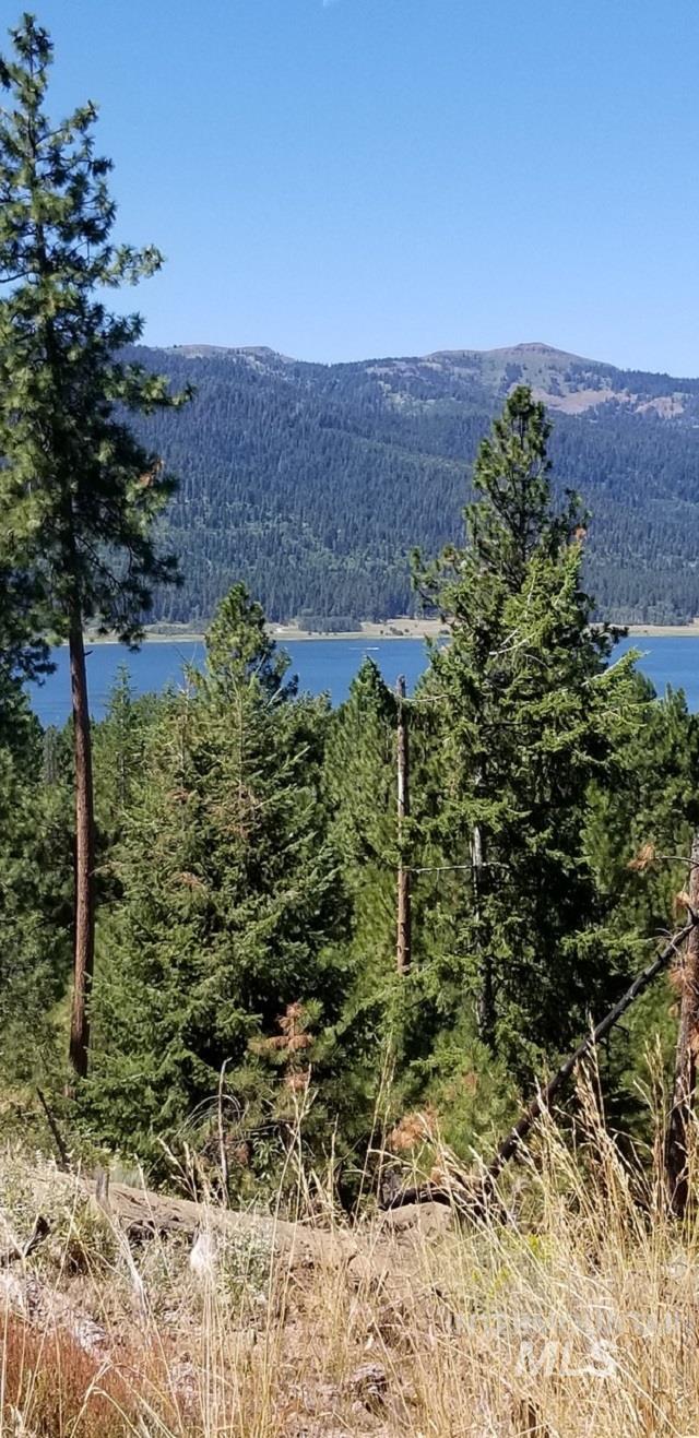 0 Lakeshore DR, Cascade, Idaho 83611, Land For Sale, Price $20,450,000,MLS 98794043