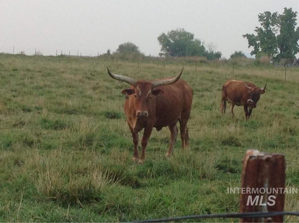 20110 Purple Sage Road, Notus, Idaho 83656, Land For Sale, Price $274,900,MLS 98835383