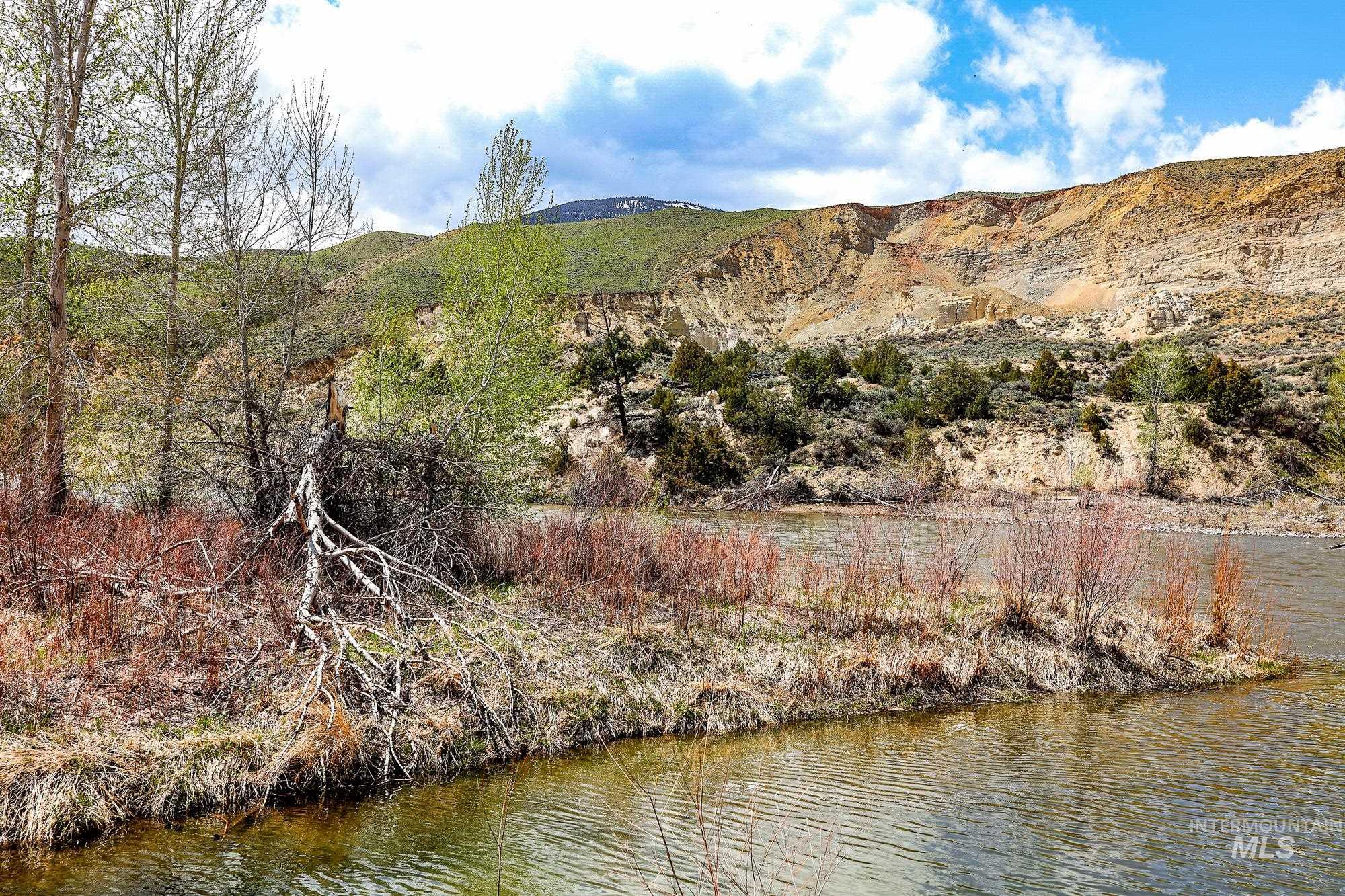 TBD St Charles Street, Salmon, Idaho 83467, Farm & Ranch For Sale, Price $1,125,000,MLS 98842168