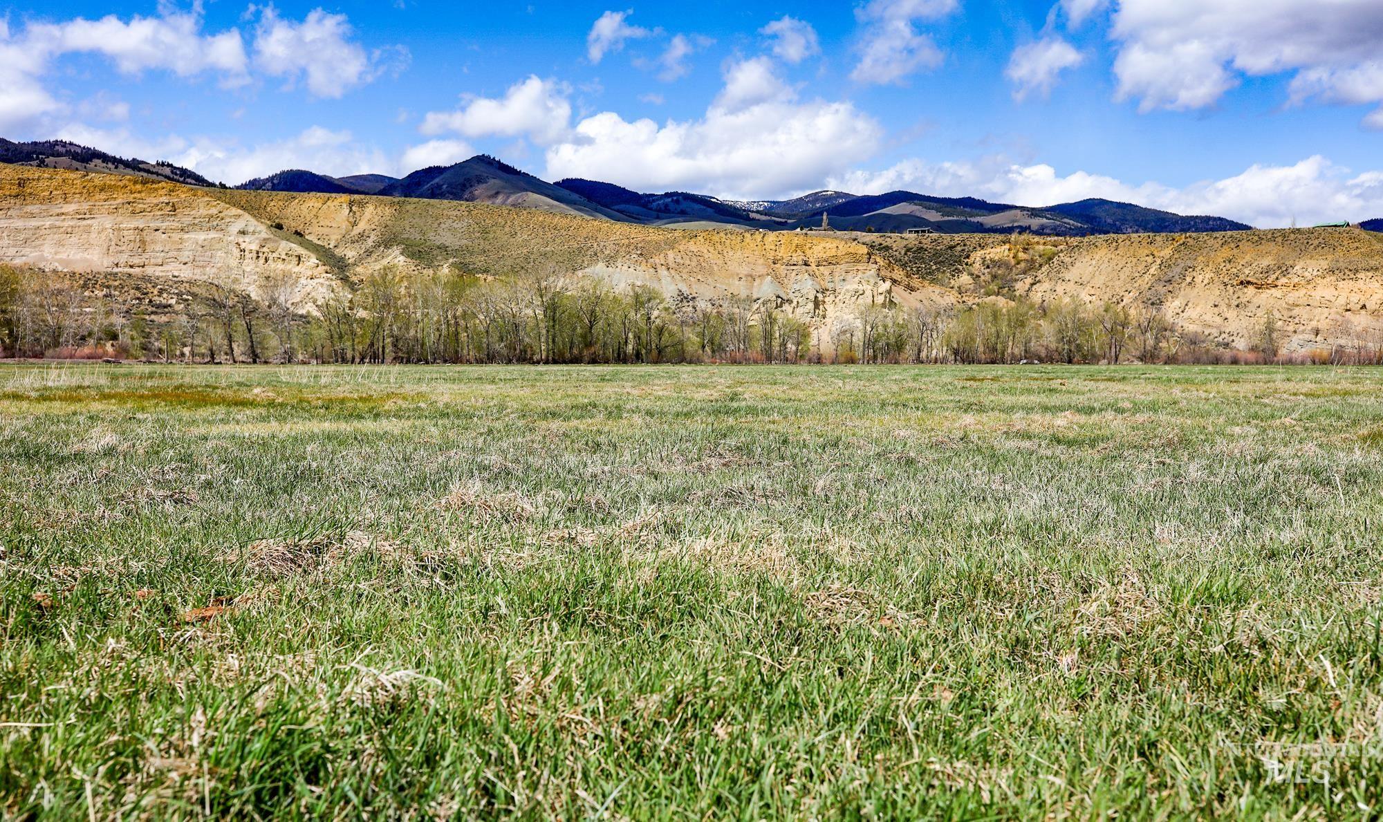 TBD St Charles Street, Salmon, Idaho 83467, Farm & Ranch For Sale, Price $1,125,000,MLS 98842168