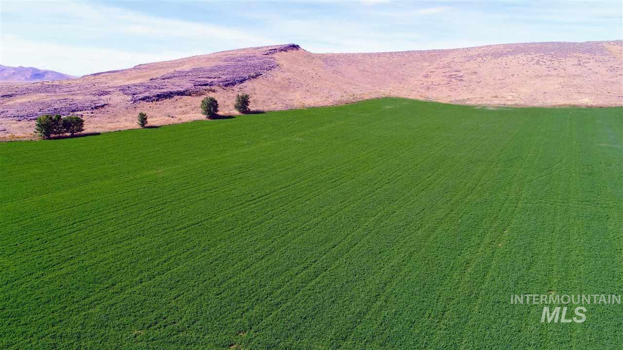 Priest Road, Picabo, Idaho 83348, 3 Bedrooms, 3.5 Bathrooms, Farm & Ranch For Sale, Price $12,500,000, 98845944