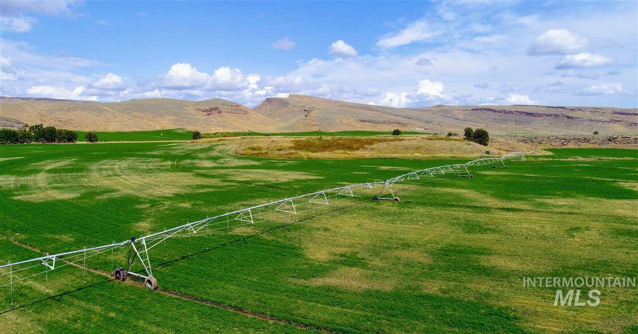 Priest Road, Picabo, Idaho 83348, 3 Bedrooms, 3.5 Bathrooms, Farm & Ranch For Sale, Price $12,500,000, 98845944