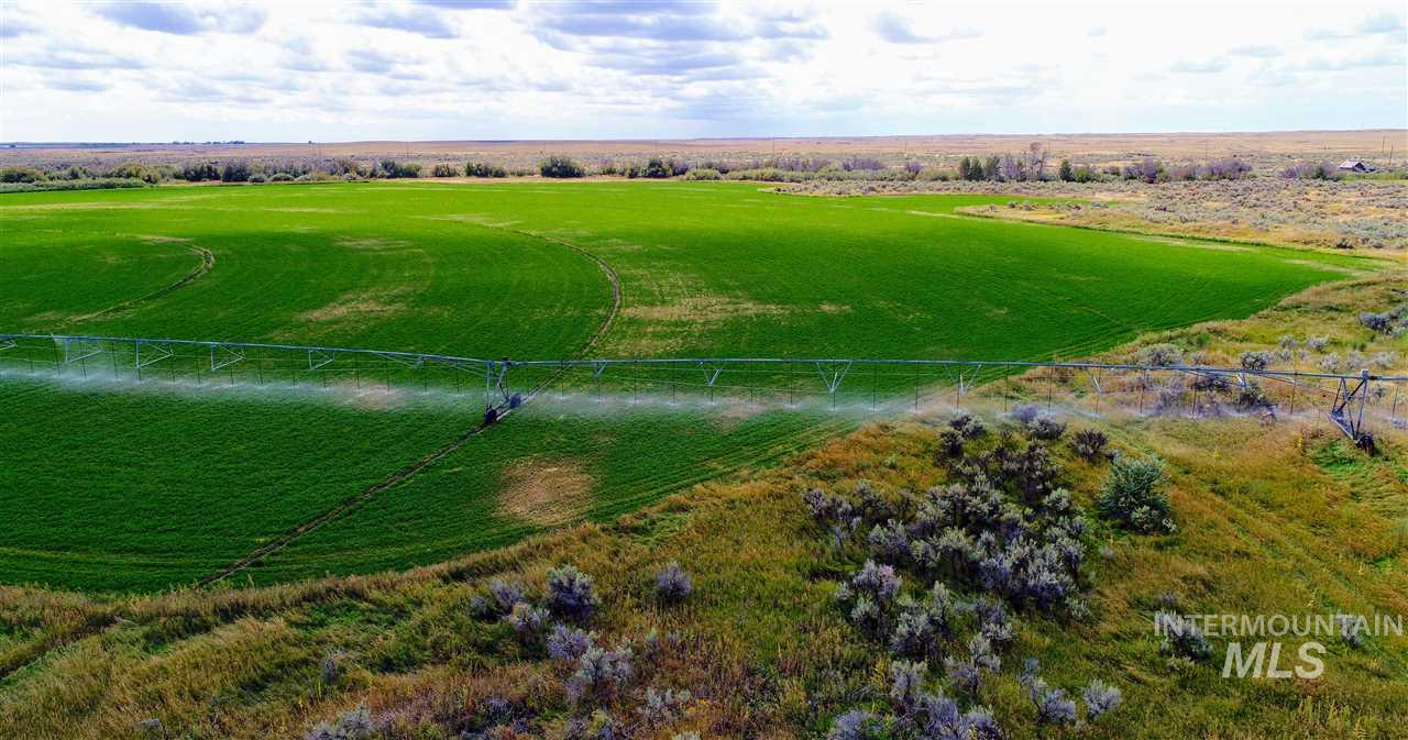 Priest Road, Picabo, Idaho 83348, 3 Bedrooms, 3.5 Bathrooms, Farm & Ranch For Sale, Price $12,500,000, 98845944