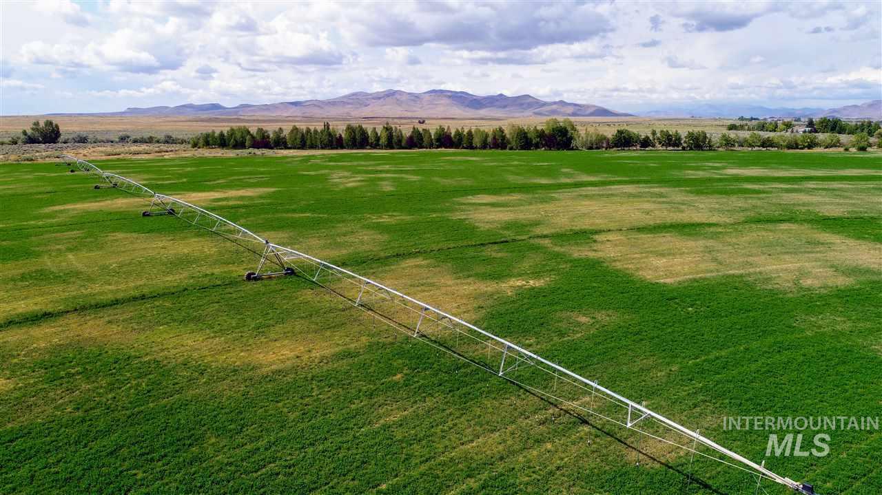 Priest Road, Picabo, Idaho 83348, 3 Bedrooms, 3.5 Bathrooms, Farm & Ranch For Sale, Price $12,500,000, 98845944