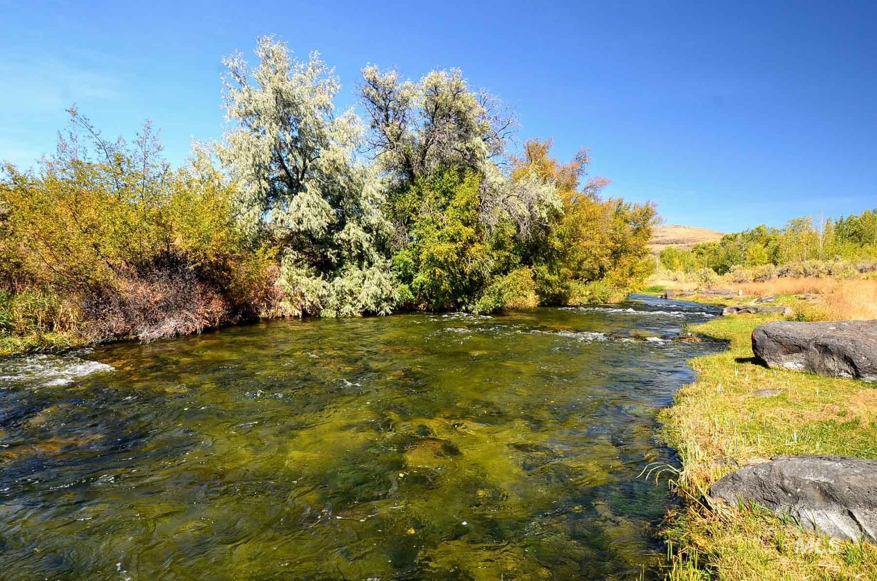 249 Priest Road, Picabo, Idaho 83348, 3 Bedrooms, 1 Bathroom, Farm & Ranch For Sale, Price $9,000,000, 98846264