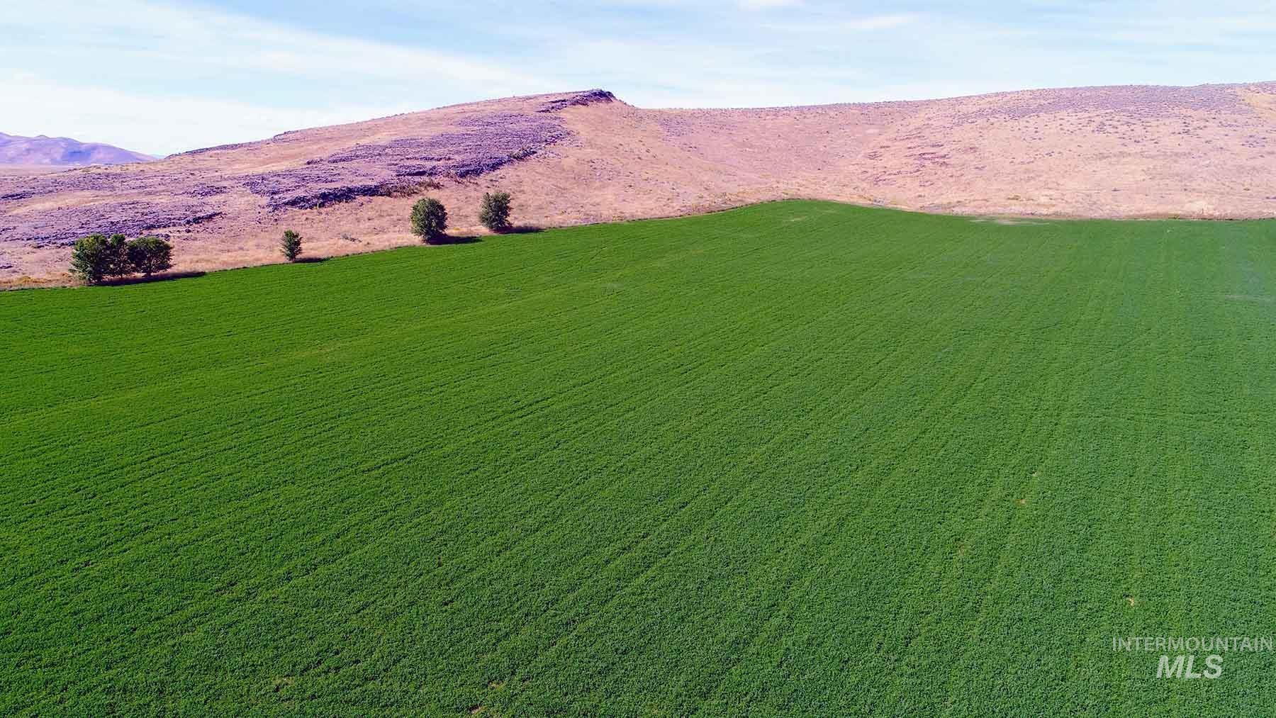 249 Priest Road, Picabo, Idaho 83348, 3 Bedrooms, 1 Bathroom, Farm & Ranch For Sale, Price $9,000,000, 98846264