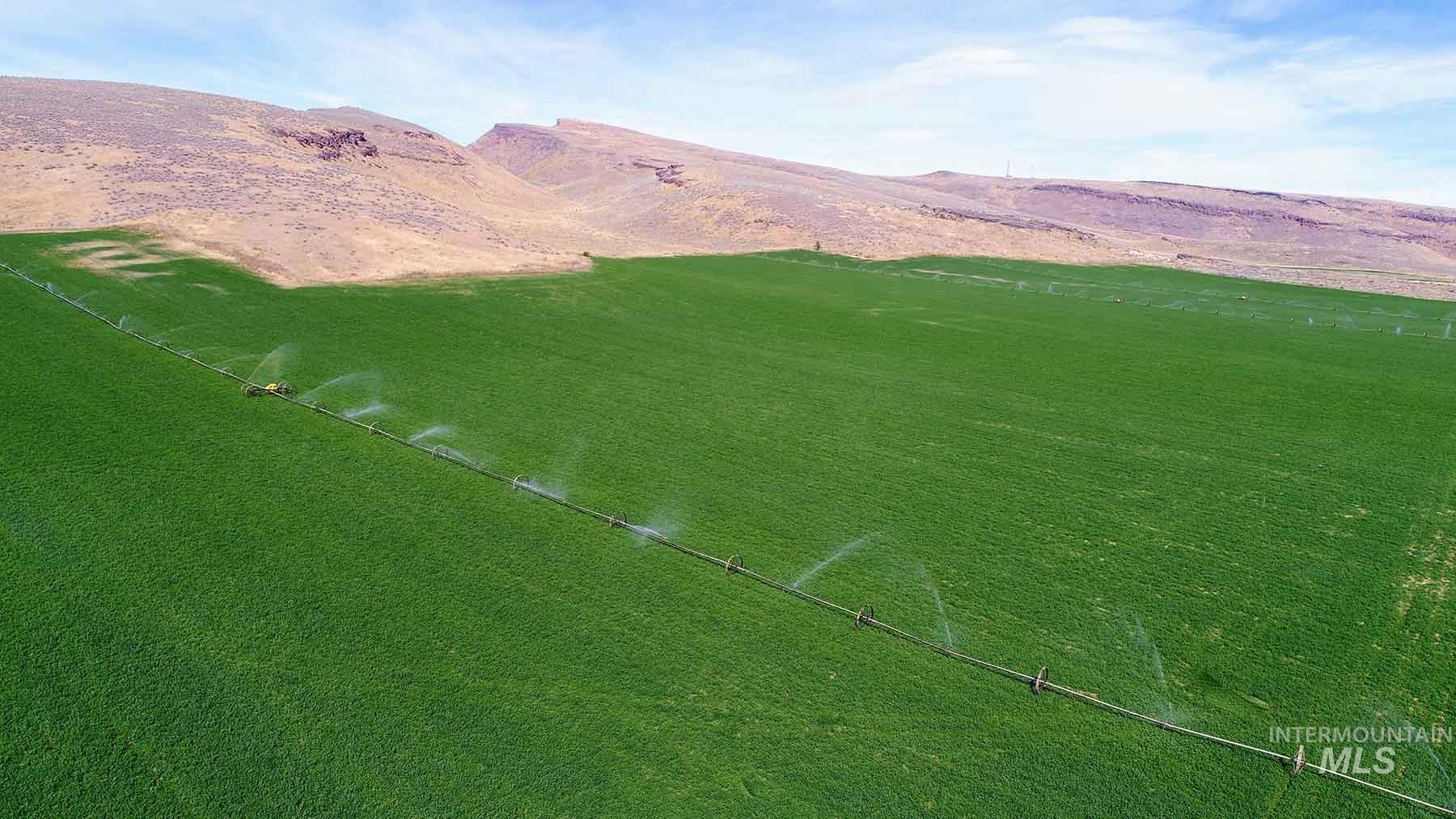 249 Priest Road, Picabo, Idaho 83348, 3 Bedrooms, 1 Bathroom, Farm & Ranch For Sale, Price $9,000,000, 98846264