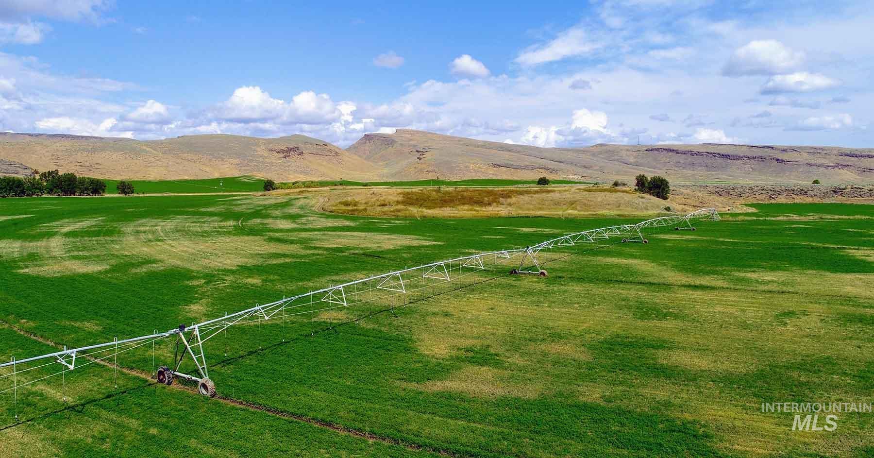 249 Priest Road, Picabo, Idaho 83348, 3 Bedrooms, 1 Bathroom, Farm & Ranch For Sale, Price $9,000,000, 98846264