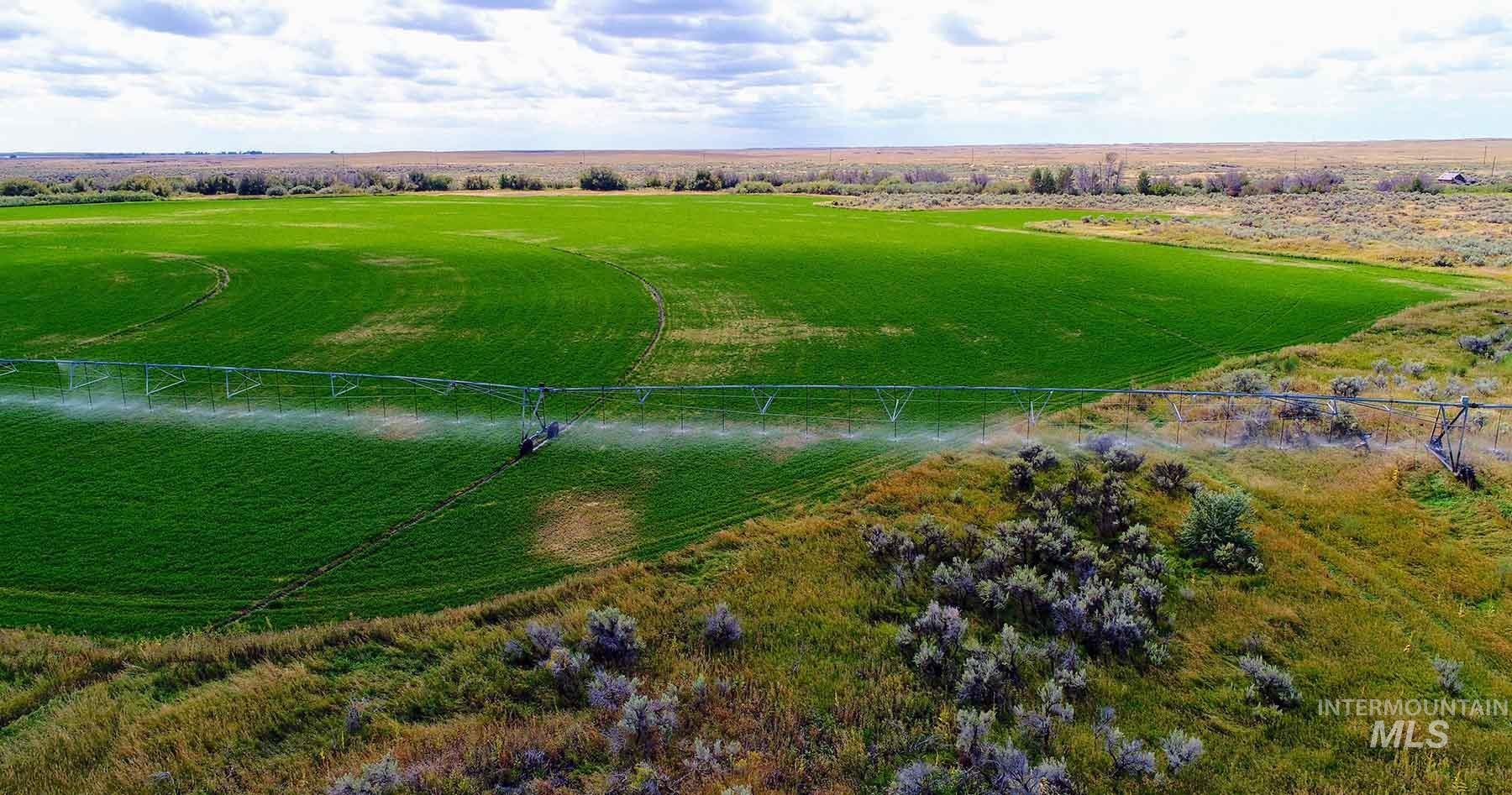 249 Priest Road, Picabo, Idaho 83348, 3 Bedrooms, 1 Bathroom, Farm & Ranch For Sale, Price $9,000,000, 98846264