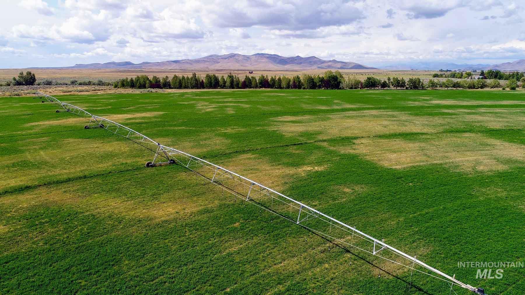 249 Priest Road, Picabo, Idaho 83348, 3 Bedrooms, 1 Bathroom, Farm & Ranch For Sale, Price $9,000,000, 98846264