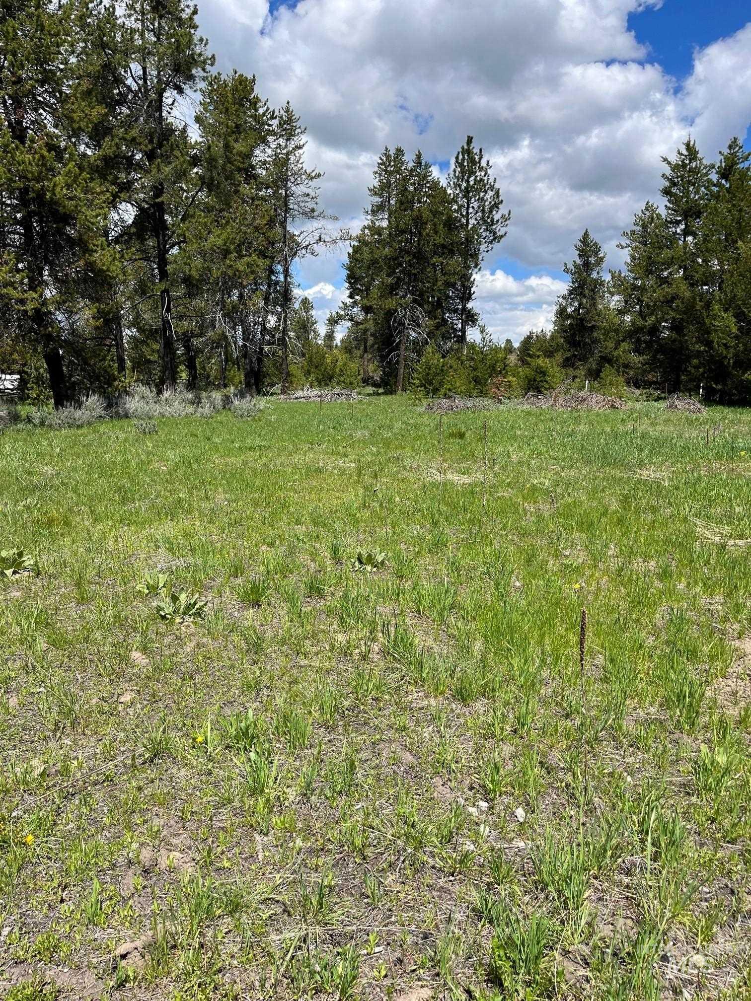 13480 & TBD Gunsmoke Road, McCall, Idaho 83638, Land For Sale, Price $699,000,MLS 98846453