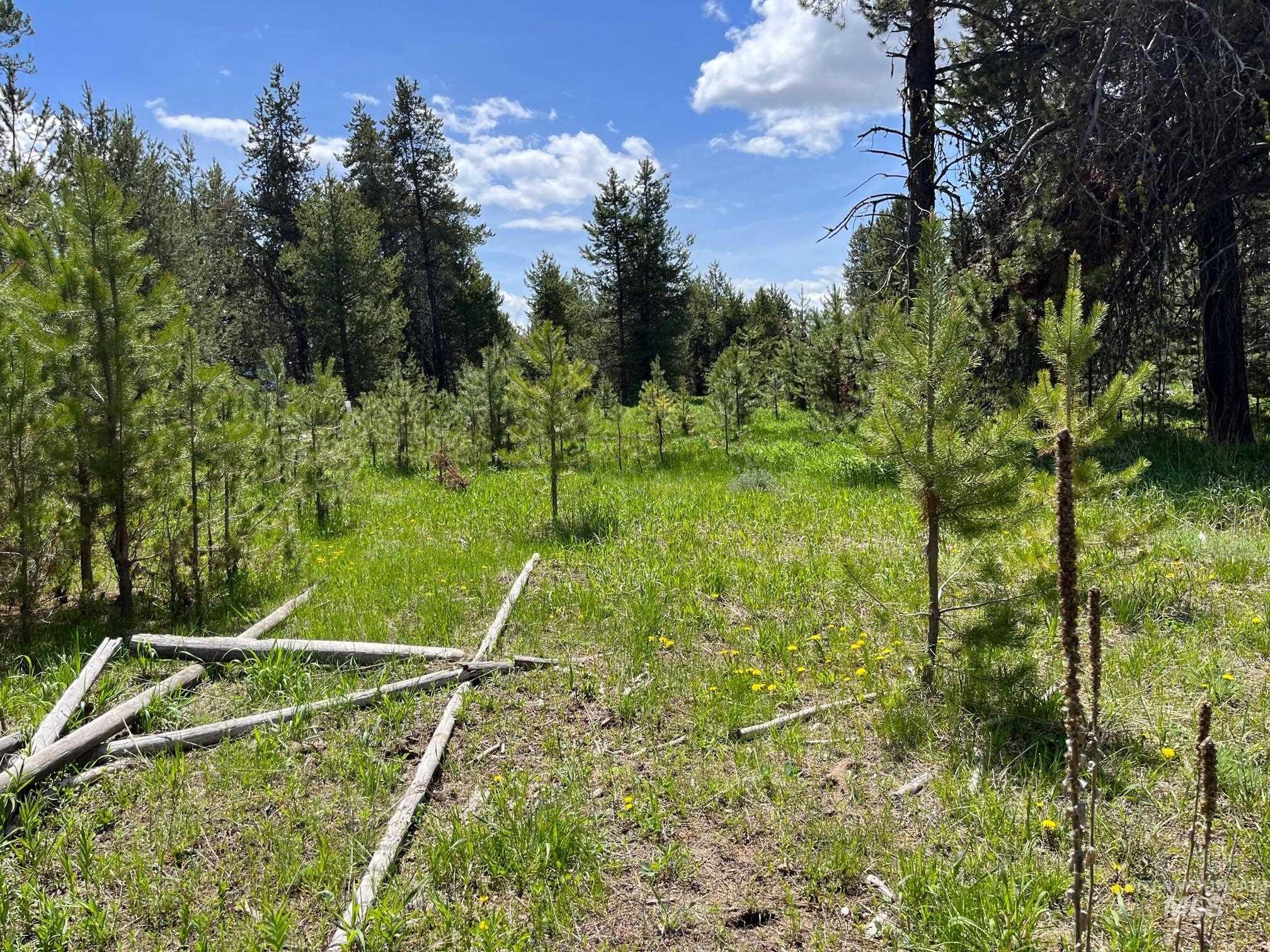 13480 & TBD Gunsmoke Road, McCall, Idaho 83638, Land For Sale, Price $699,000,MLS 98846453
