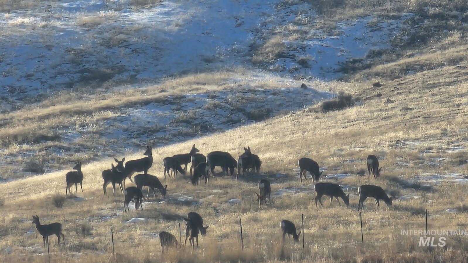 2051 Thompson Rd, Homedale, Idaho 83628, Land For Sale, Price $975,000,MLS 98850759