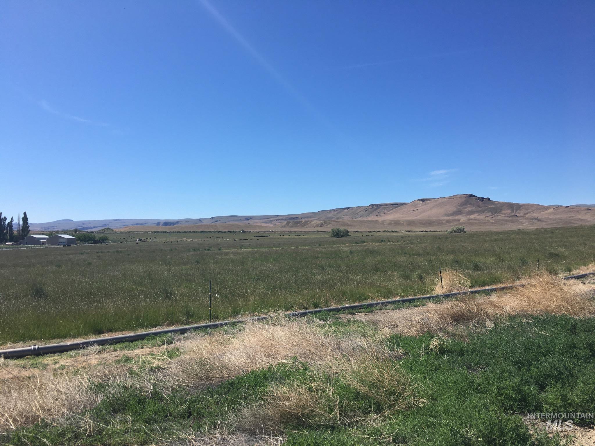 2051 Thompson Rd, Homedale, Idaho 83628, Land For Sale, Price $975,000,MLS 98850759