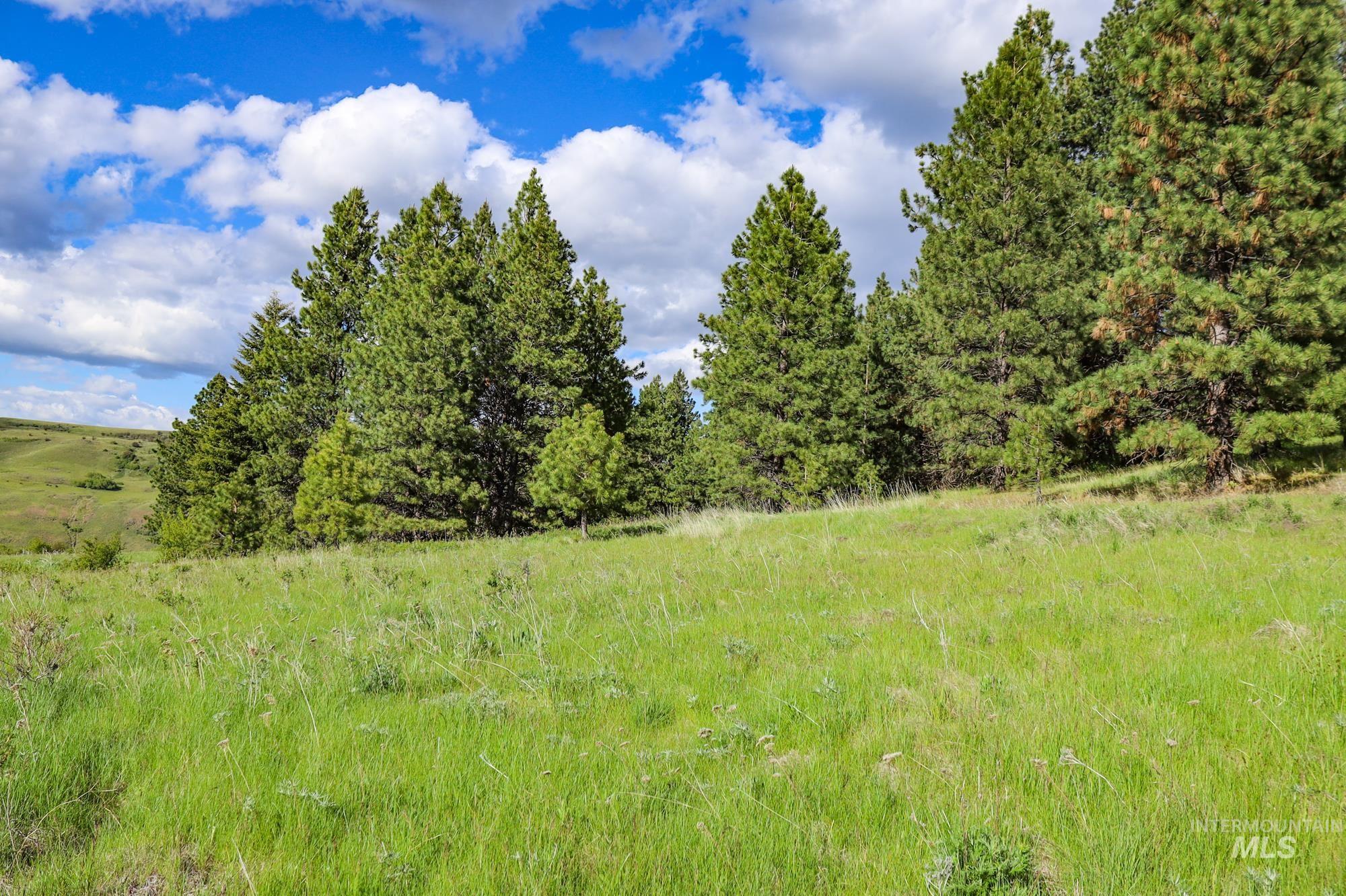 0 Highway 3, Enterprise, Oregon 97828, Land For Sale, Price $575,000,MLS 98880131