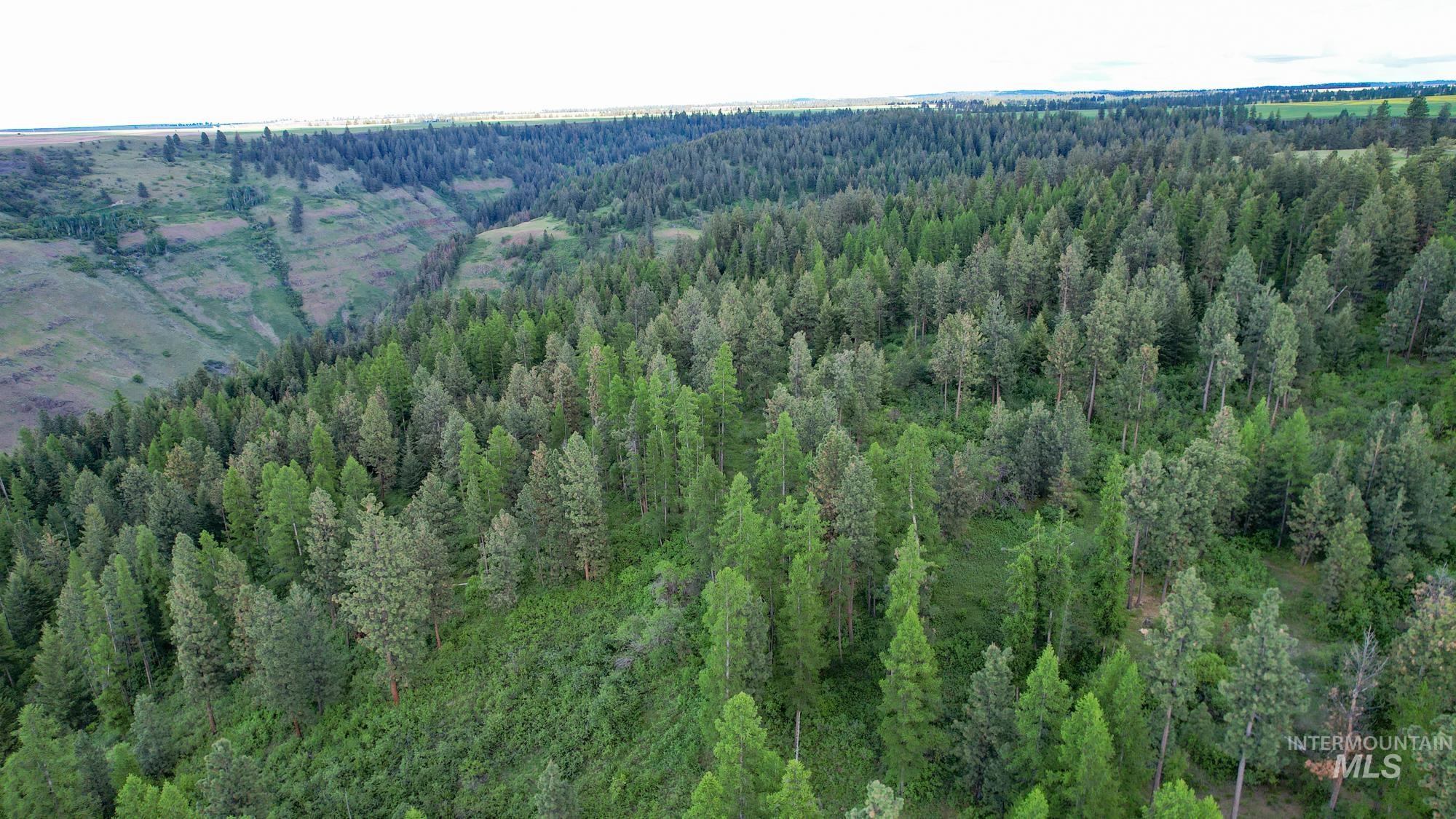 0 Highway 3, Enterprise, Oregon 97828, Land For Sale, Price $575,000,MLS 98880131