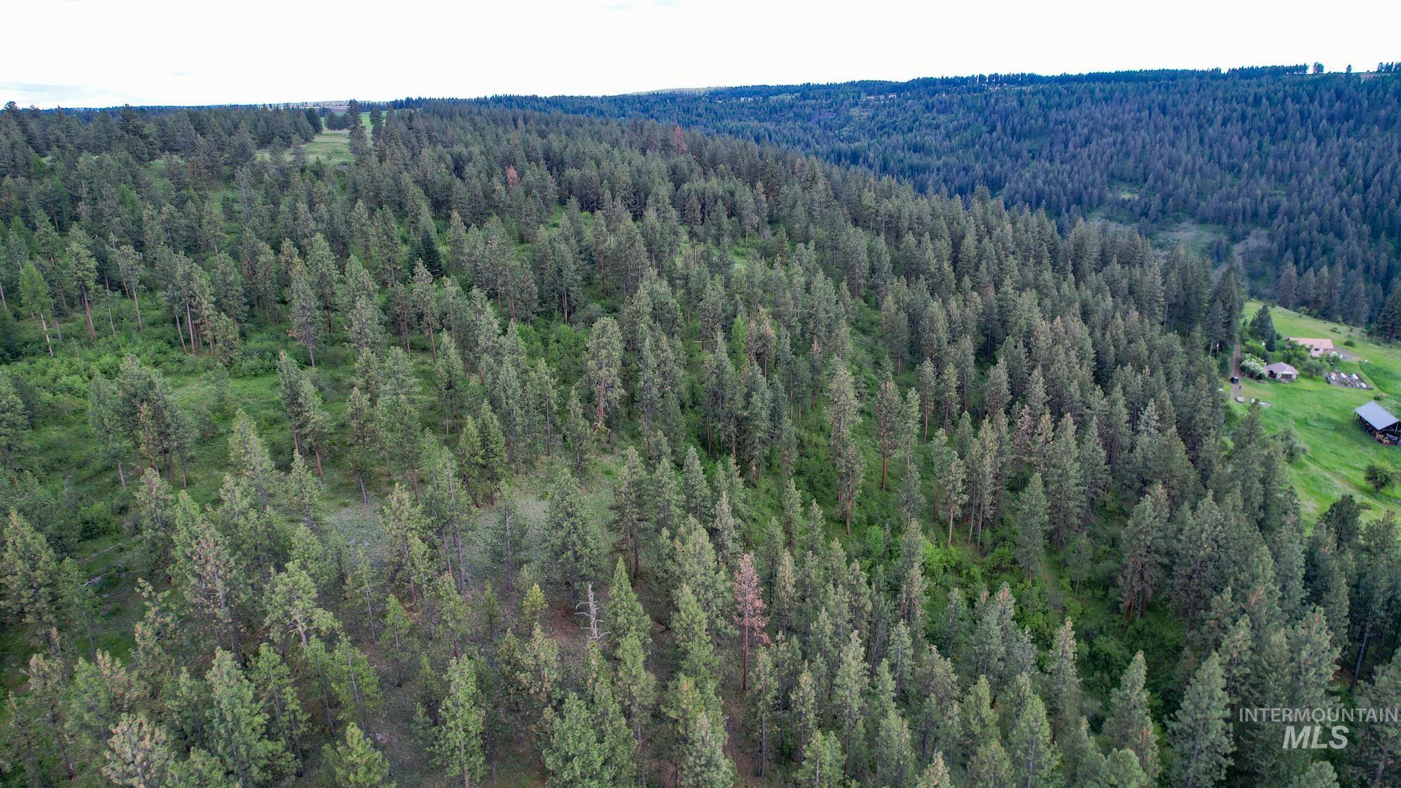 0 Highway 3, Enterprise, Oregon 97828, Land For Sale, Price $575,000,MLS 98880131