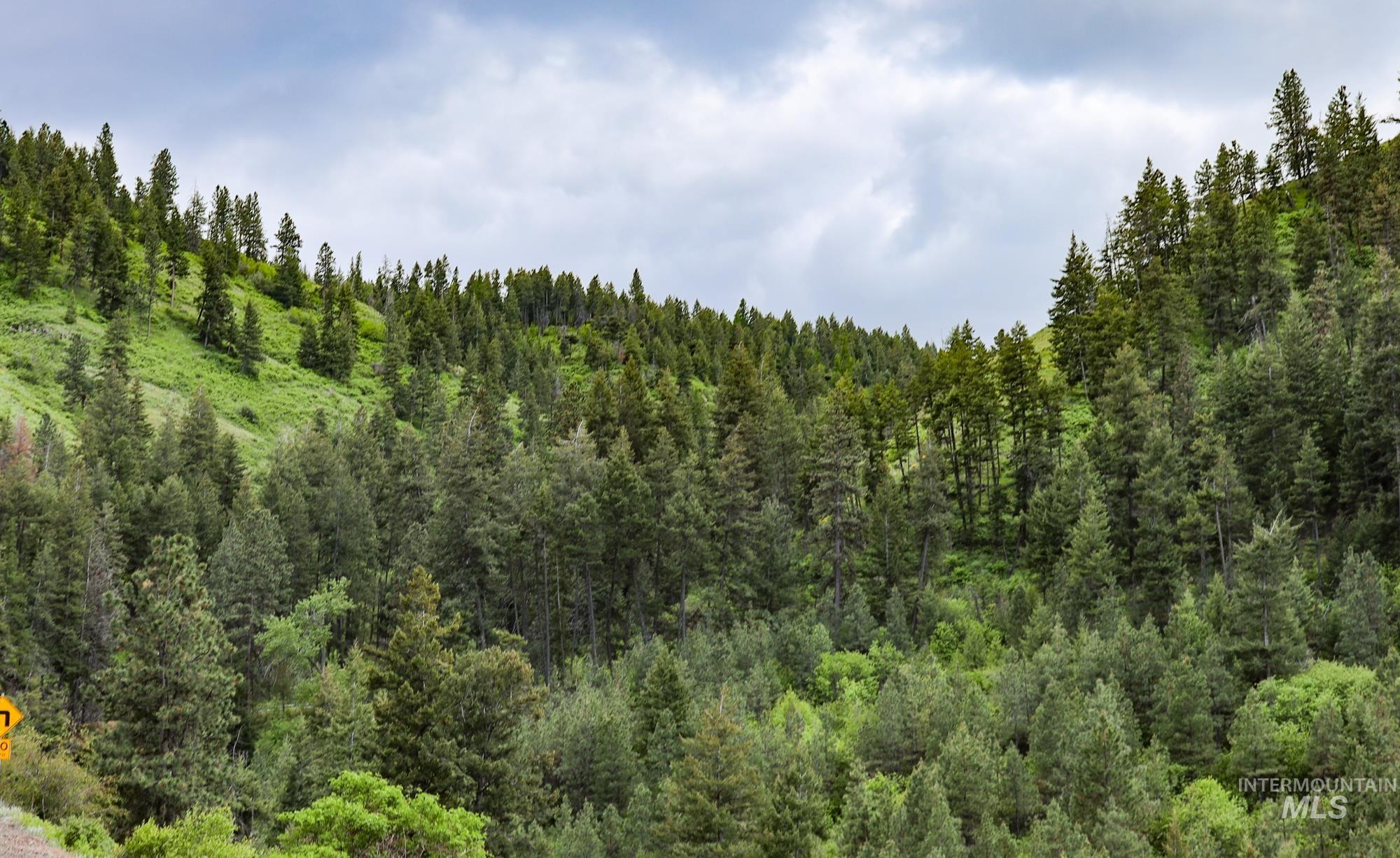 0 Highway 3, Enterprise, Oregon 97828, Land For Sale, Price $575,000,MLS 98880131