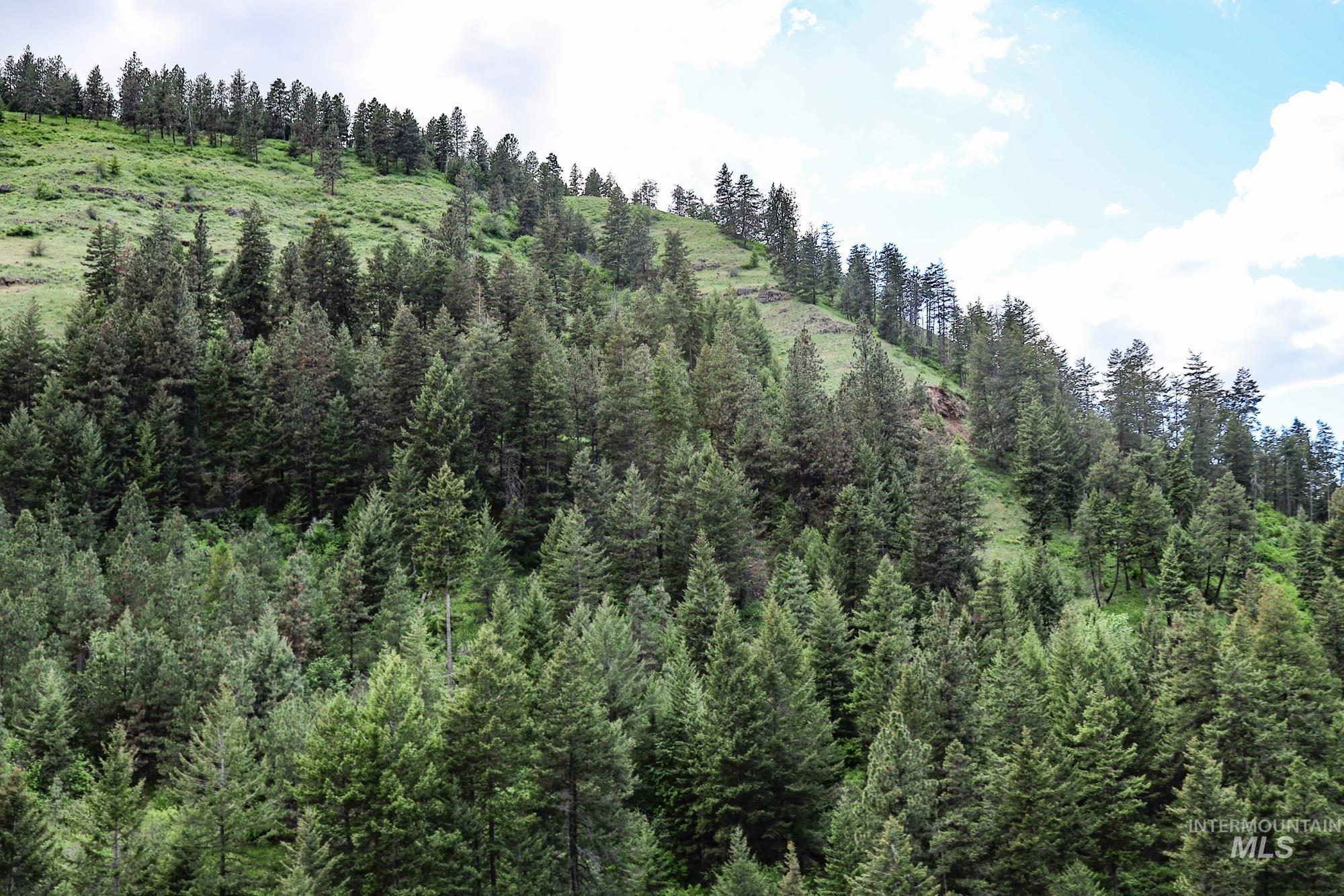 0 Highway 3, Enterprise, Oregon 97828, Land For Sale, Price $575,000,MLS 98880131