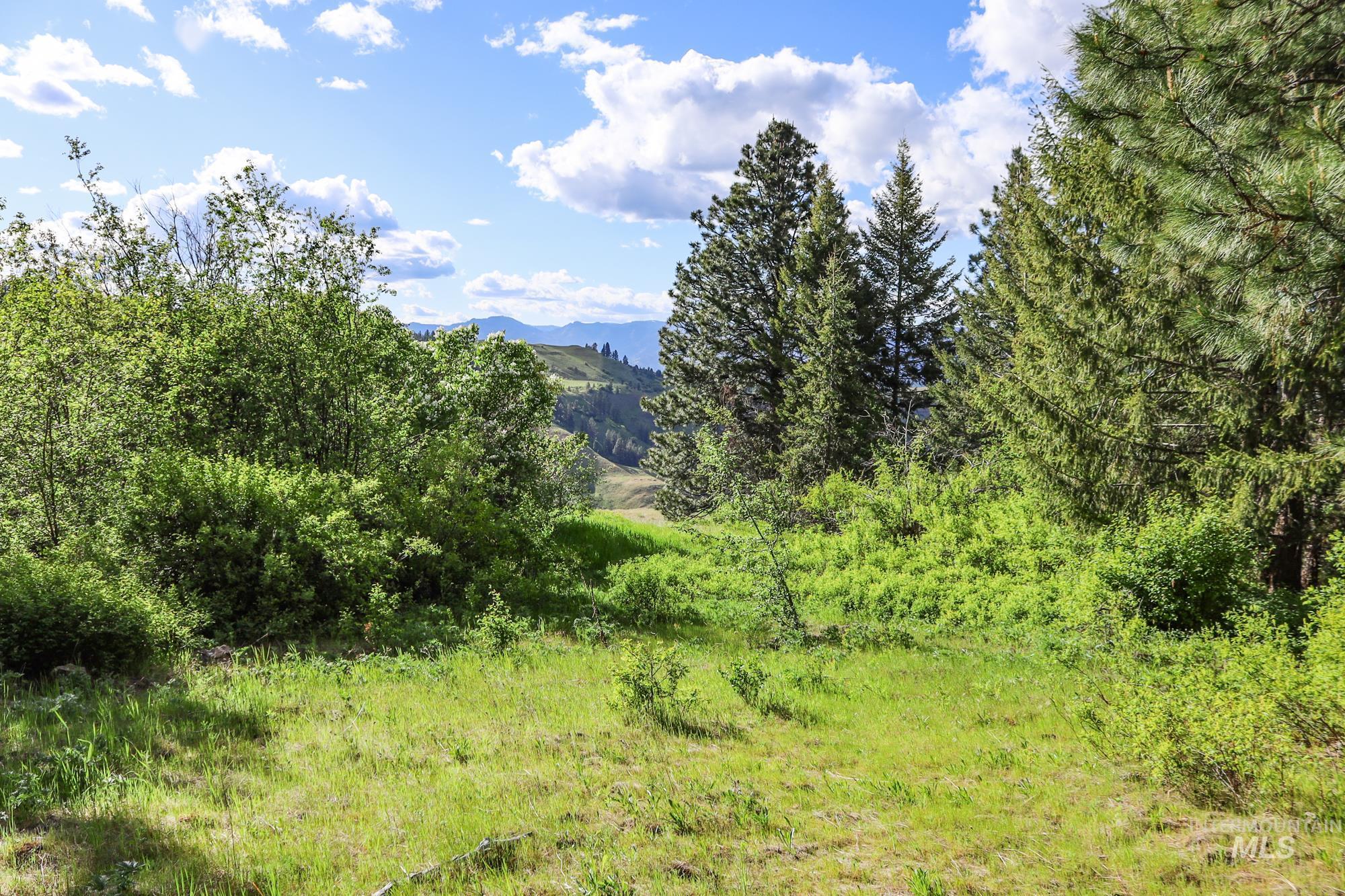 0 Highway 3, Enterprise, Oregon 97828, Land For Sale, Price $575,000,MLS 98880131