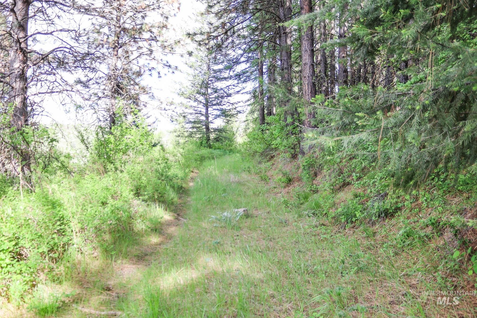 0 Highway 3, Enterprise, Oregon 97828, Land For Sale, Price $575,000,MLS 98880131
