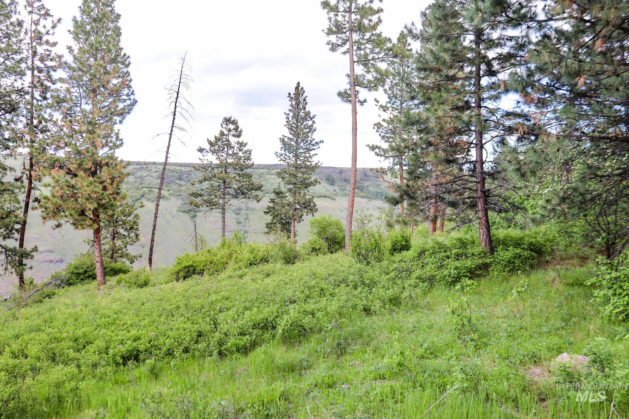 0 Highway 3, Enterprise, Oregon 97828, Land For Sale, Price $575,000,MLS 98880131