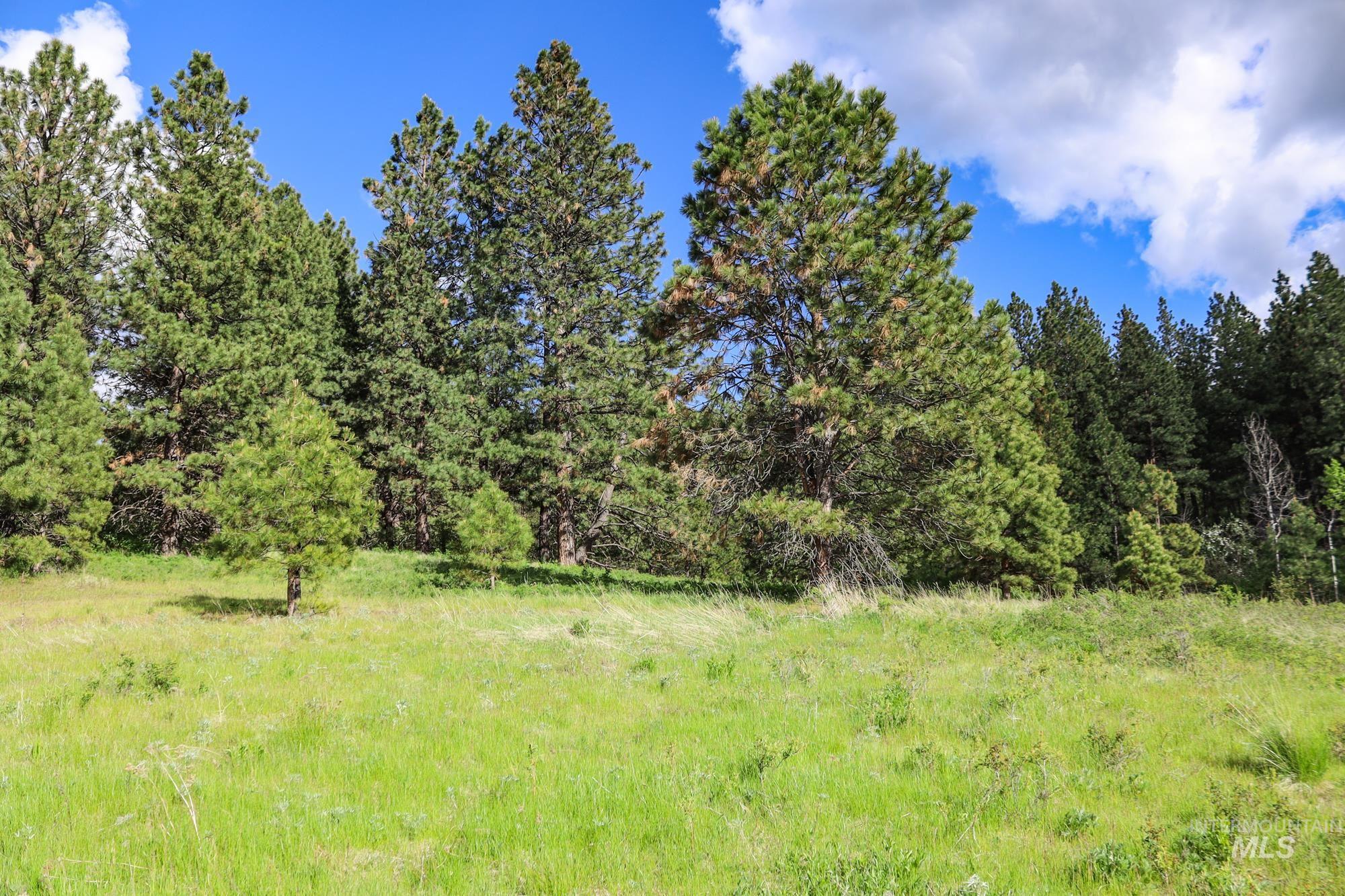 0 Highway 3, Enterprise, Oregon 97828, Land For Sale, Price $575,000,MLS 98880131