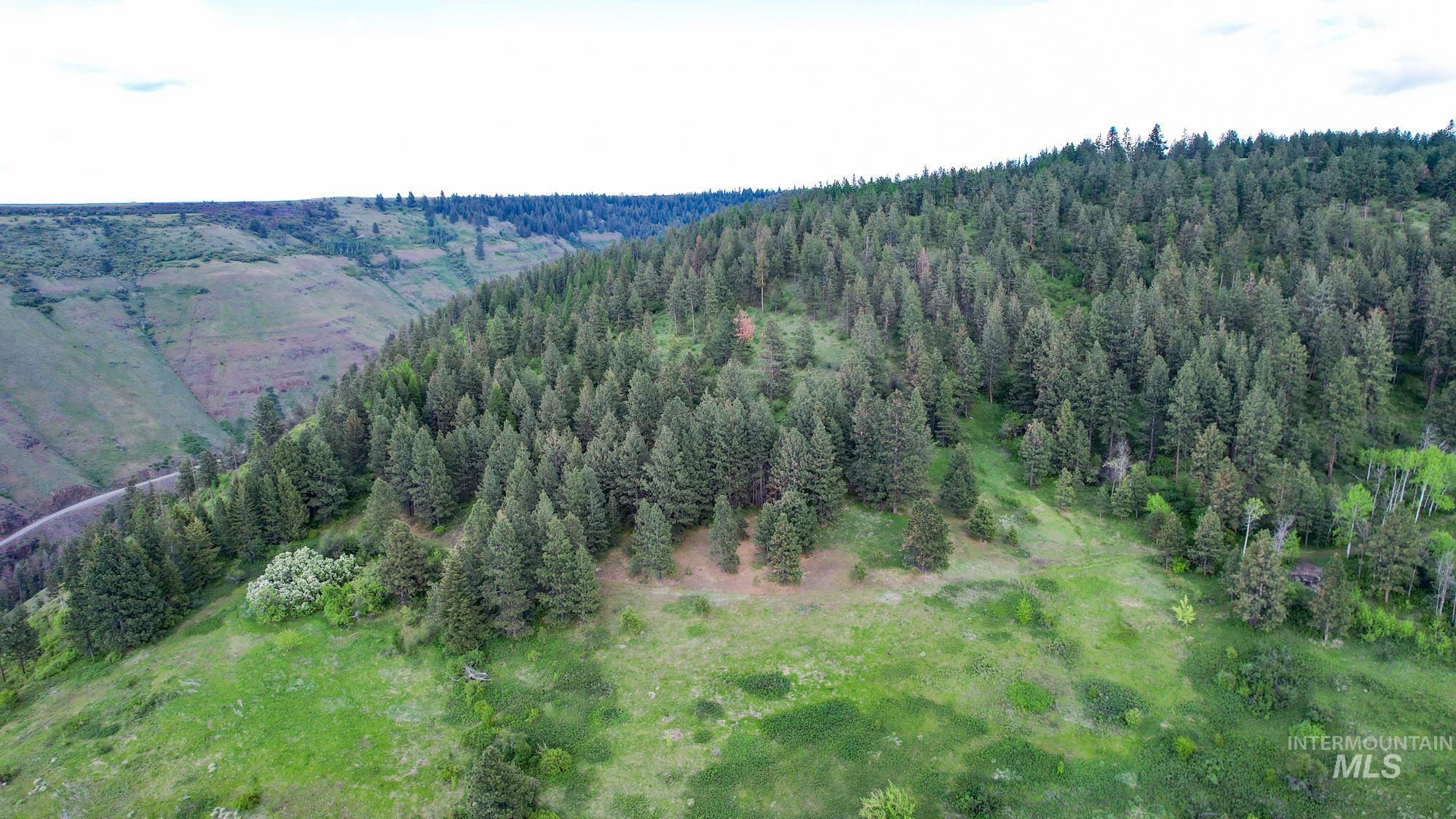 0 Highway 3, Enterprise, Oregon 97828, Land For Sale, Price $575,000,MLS 98880131