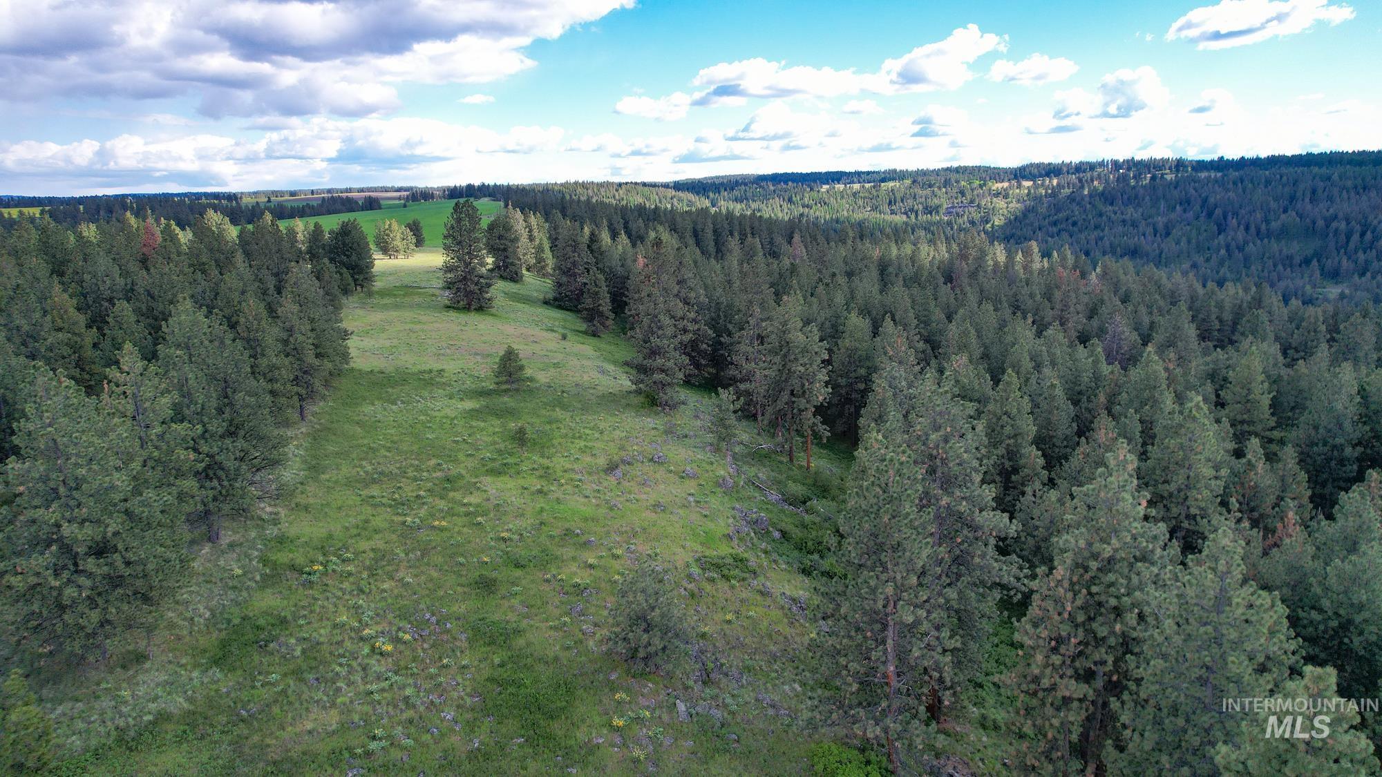 0 Highway 3, Enterprise, Oregon 97828, Land For Sale, Price $575,000,MLS 98880131