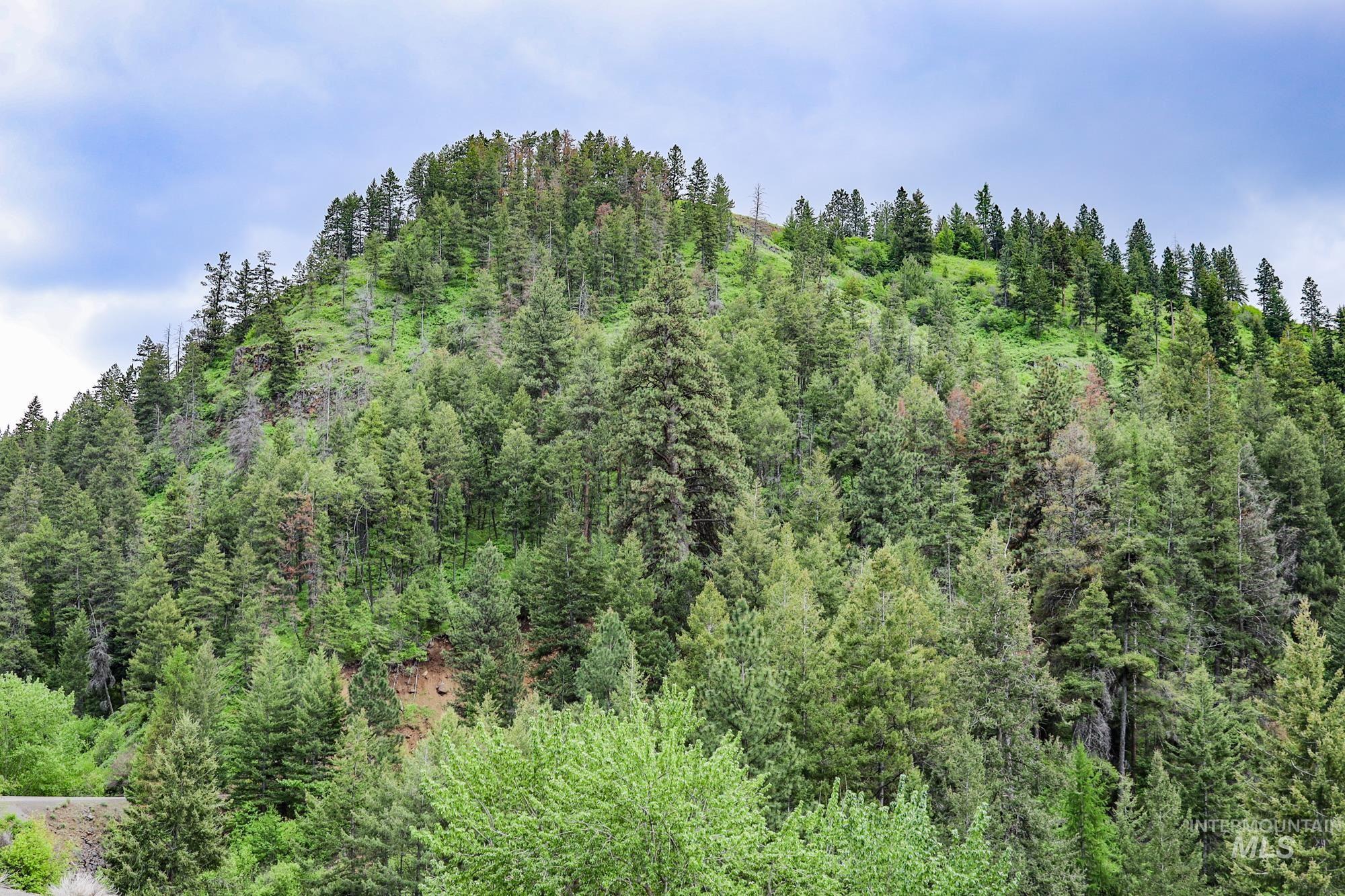 0 Highway 3, Enterprise, Oregon 97828, Land For Sale, Price $575,000,MLS 98880131