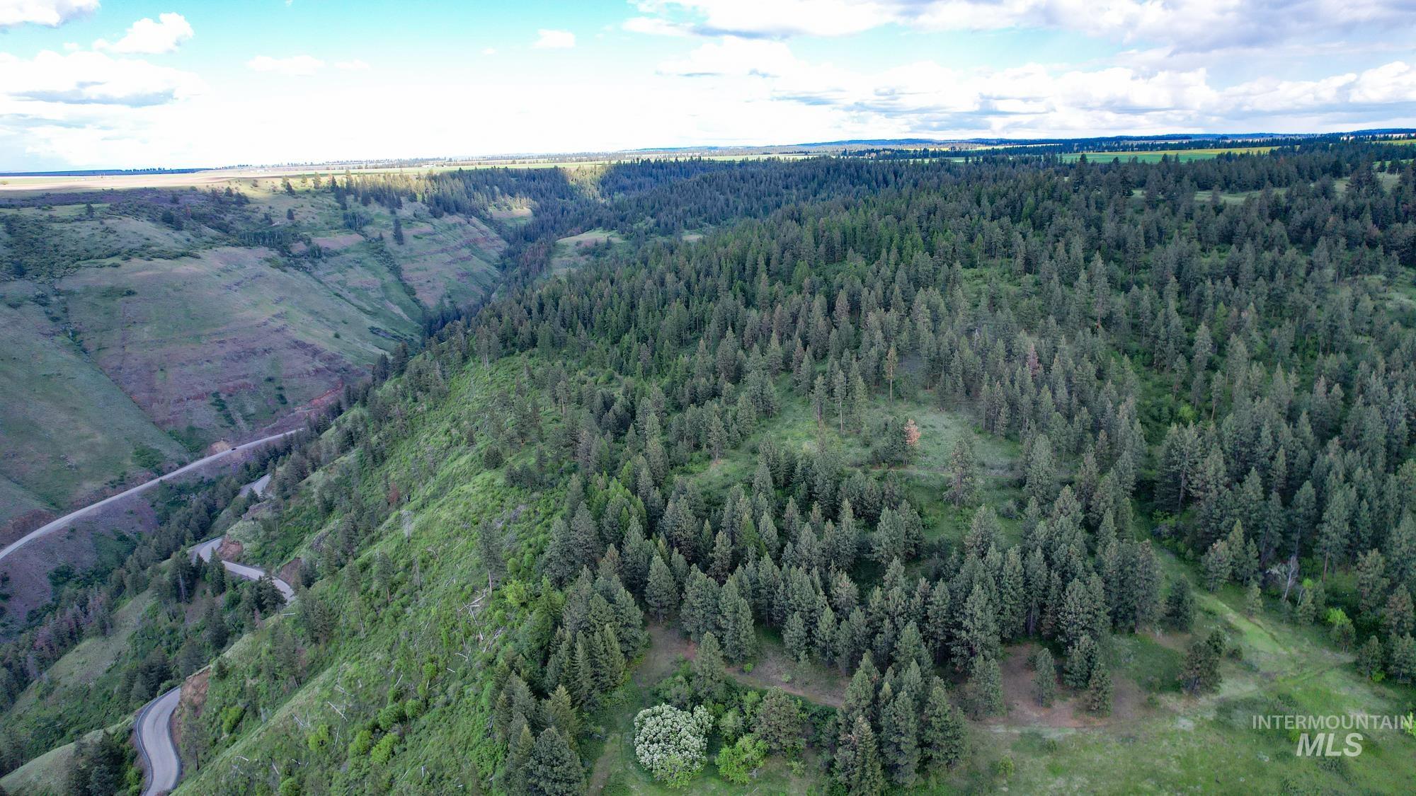 0 Highway 3, Enterprise, Oregon 97828, Land For Sale, Price $575,000,MLS 98880131