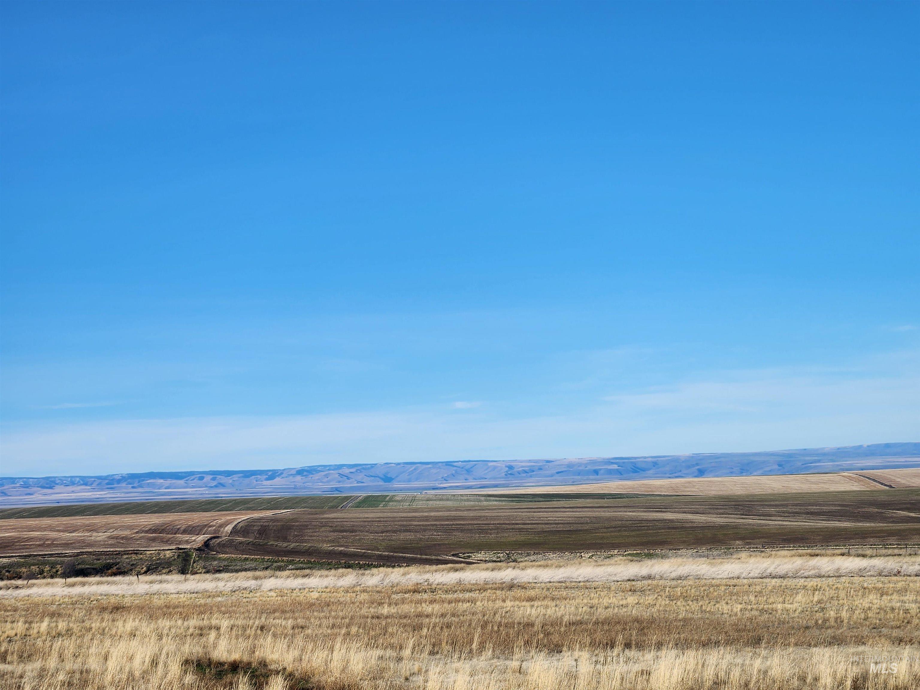 34514 Pheasant Loop Rd., Lewiston, Idaho 83501, Land For Sale, Price $240,000,MLS 98880608