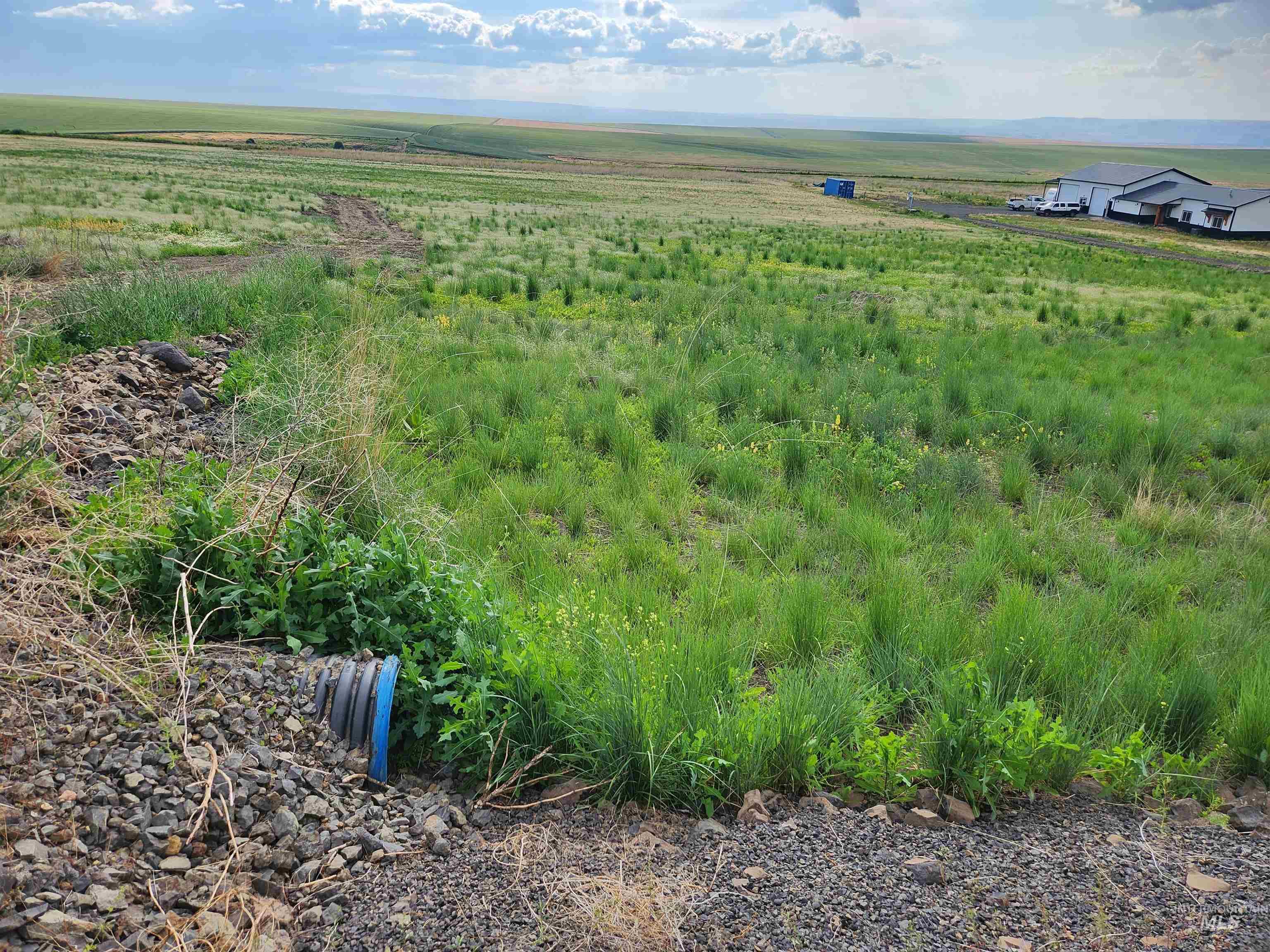 34514 Pheasant Loop Rd., Lewiston, Idaho 83501, Land For Sale, Price $240,000,MLS 98880608