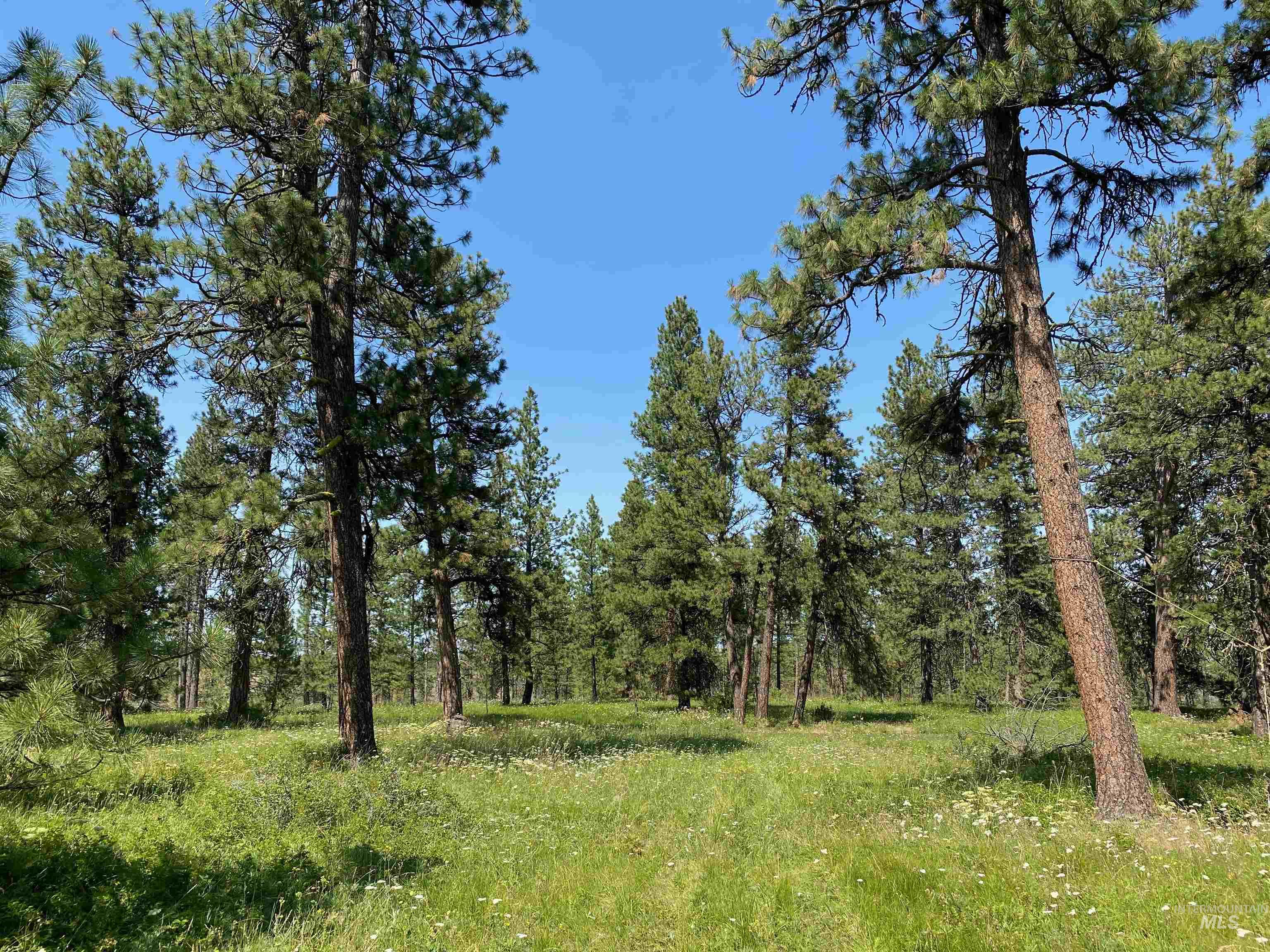 NNA Cloverland Road, Asotin, Washington 99402, Land For Sale, Price $2,400,000,MLS 98883206