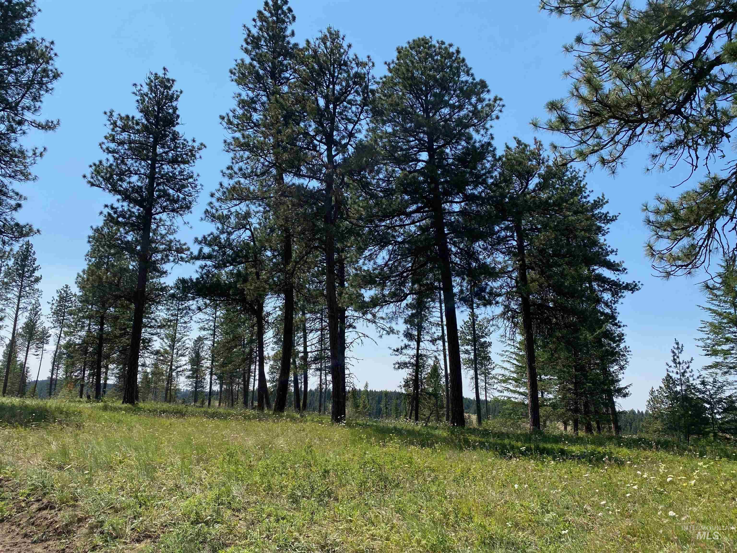 NNA Cloverland Road, Asotin, Washington 99402, Land For Sale, Price $2,400,000,MLS 98883206