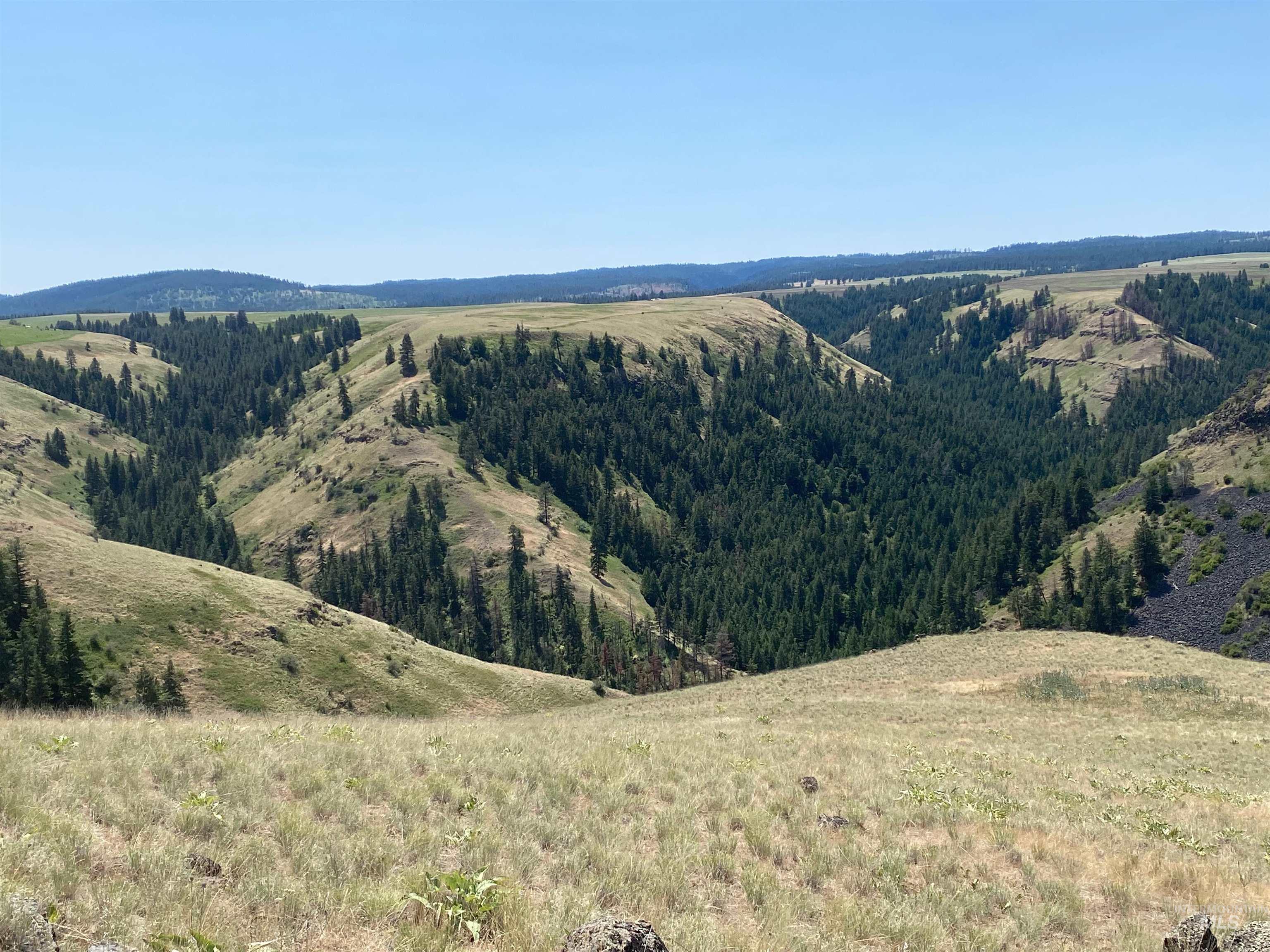 NNA Cloverland Road, Asotin, Washington 99402, Land For Sale, Price $2,400,000,MLS 98883206