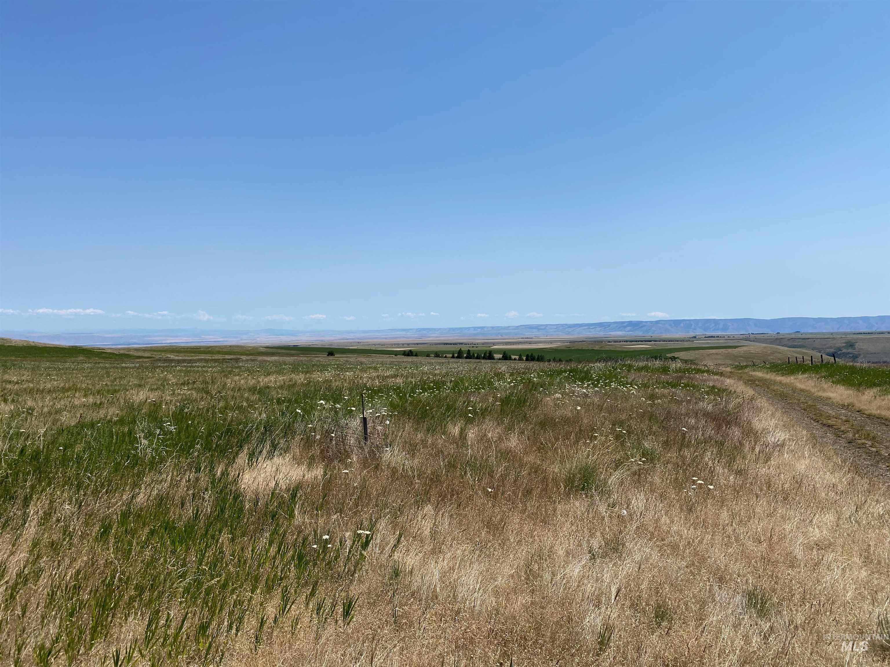 NNA Cloverland Road, Asotin, Washington 99402, Land For Sale, Price $2,400,000,MLS 98883206