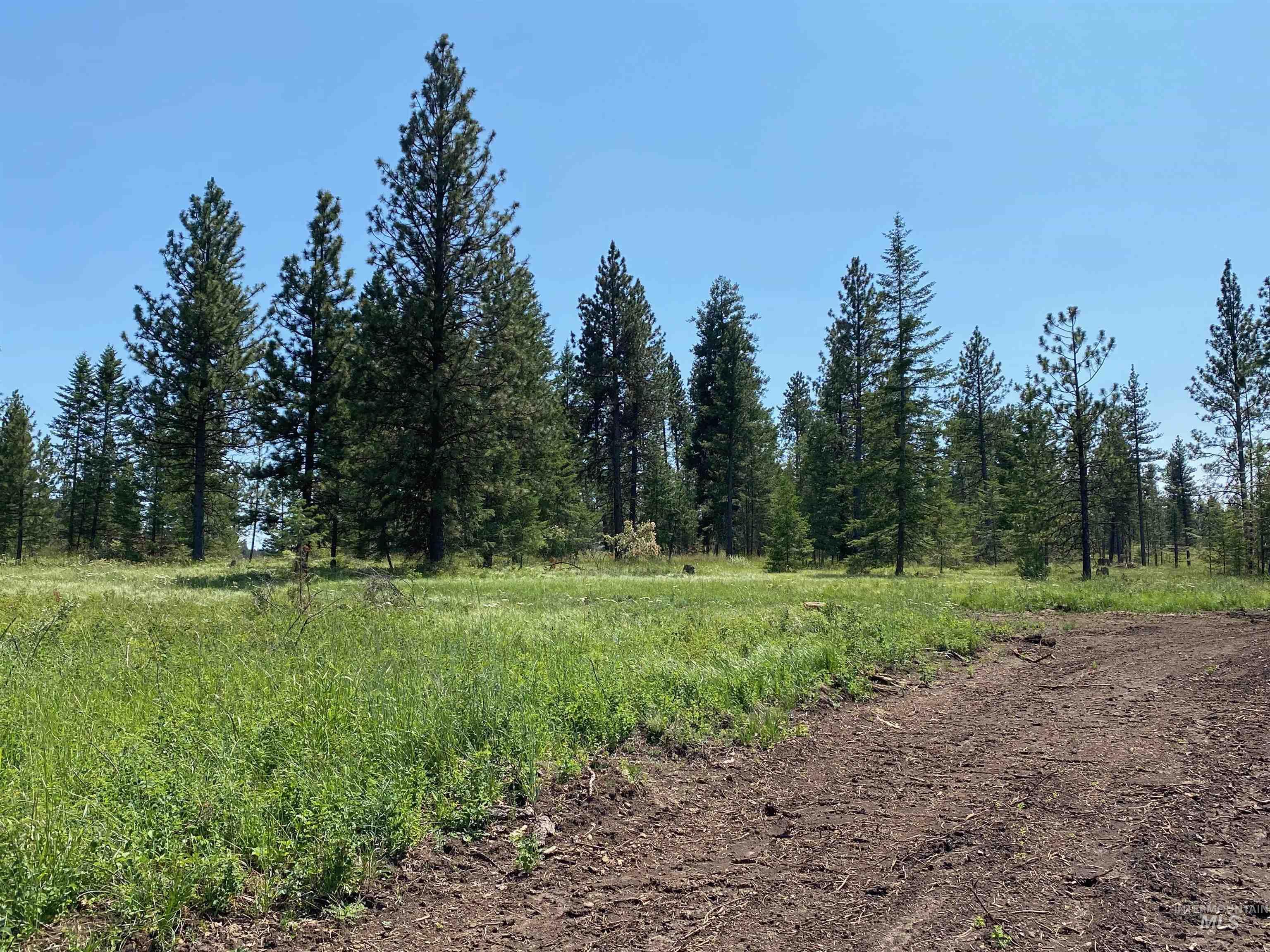 NNA Cloverland Road, Asotin, Washington 99402, Land For Sale, Price $2,400,000,MLS 98883206