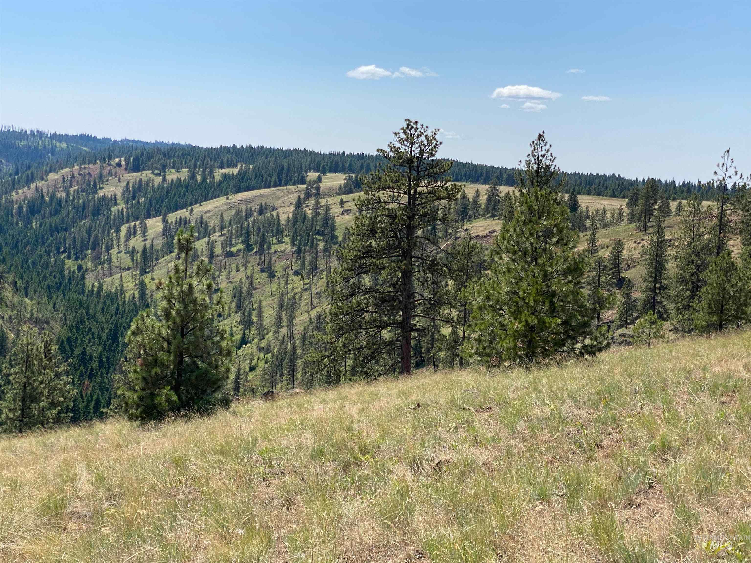 NNA Cloverland Road, Asotin, Washington 99402, Land For Sale, Price $2,400,000,MLS 98883206