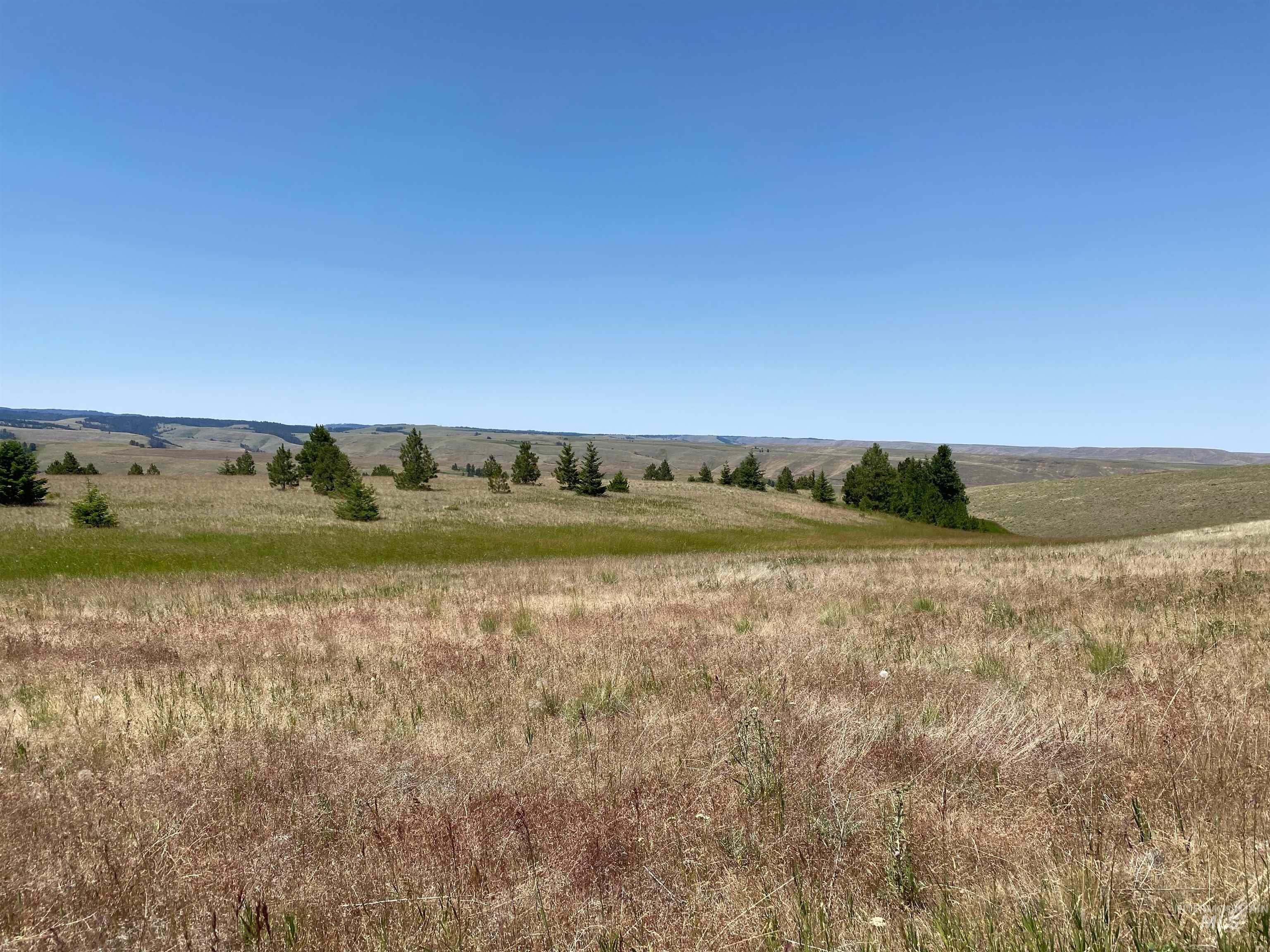 NNA Cloverland Road, Asotin, Washington 99402, Land For Sale, Price $2,400,000,MLS 98883206