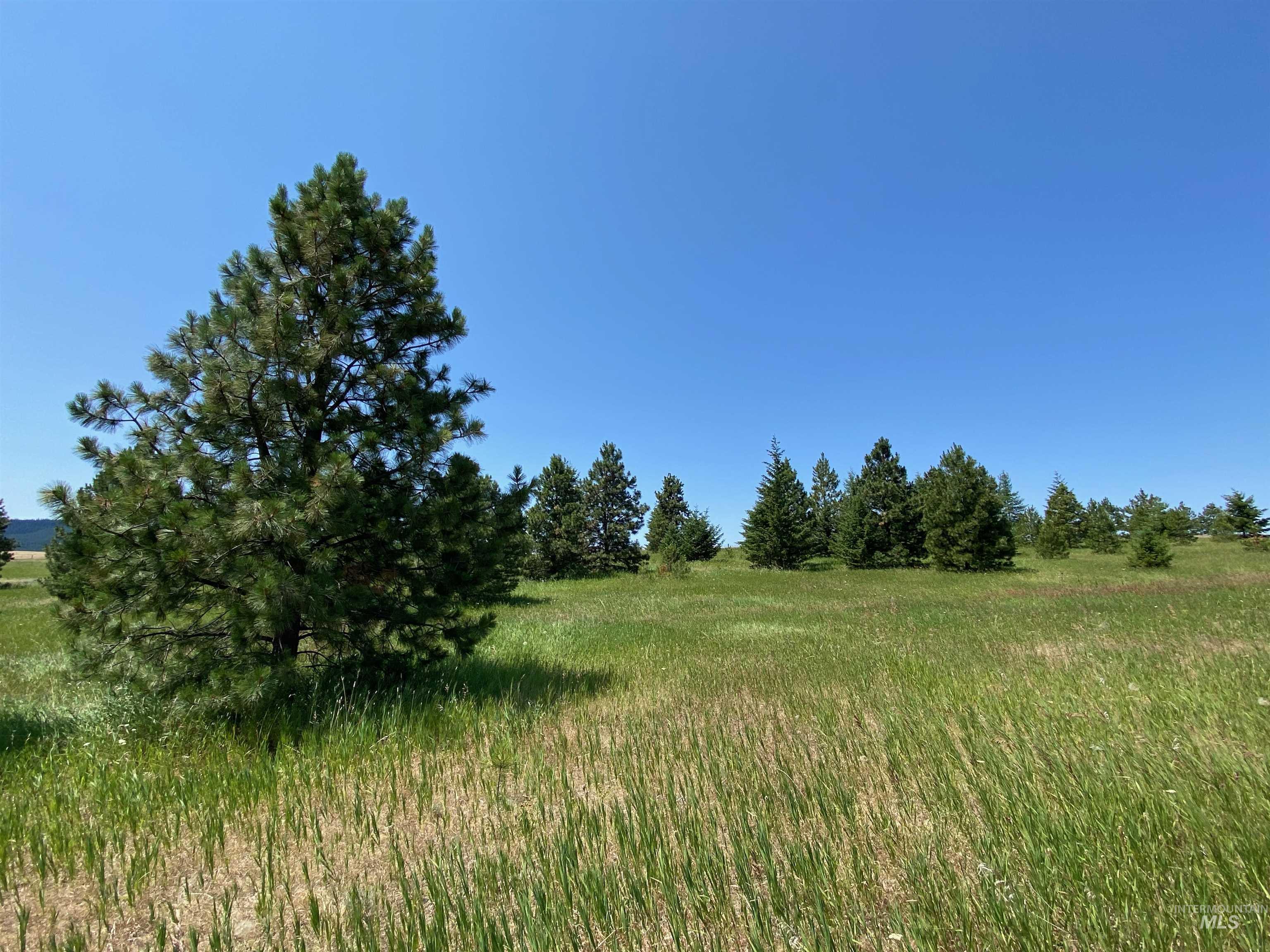 NNA Cloverland Road, Asotin, Washington 99402, Land For Sale, Price $2,400,000,MLS 98883206