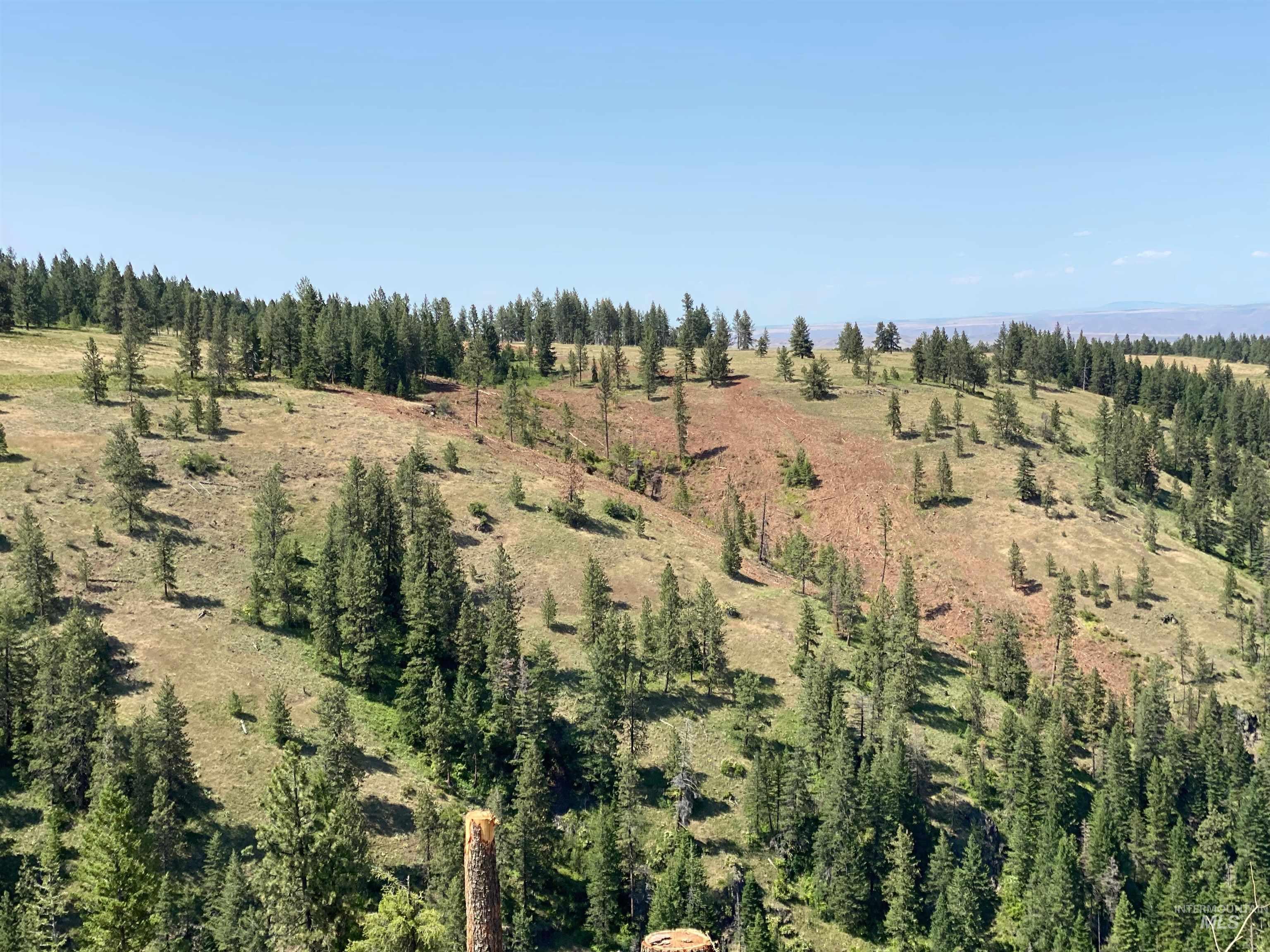 NNA Cloverland Road, Asotin, Washington 99402, Land For Sale, Price $2,400,000,MLS 98883206