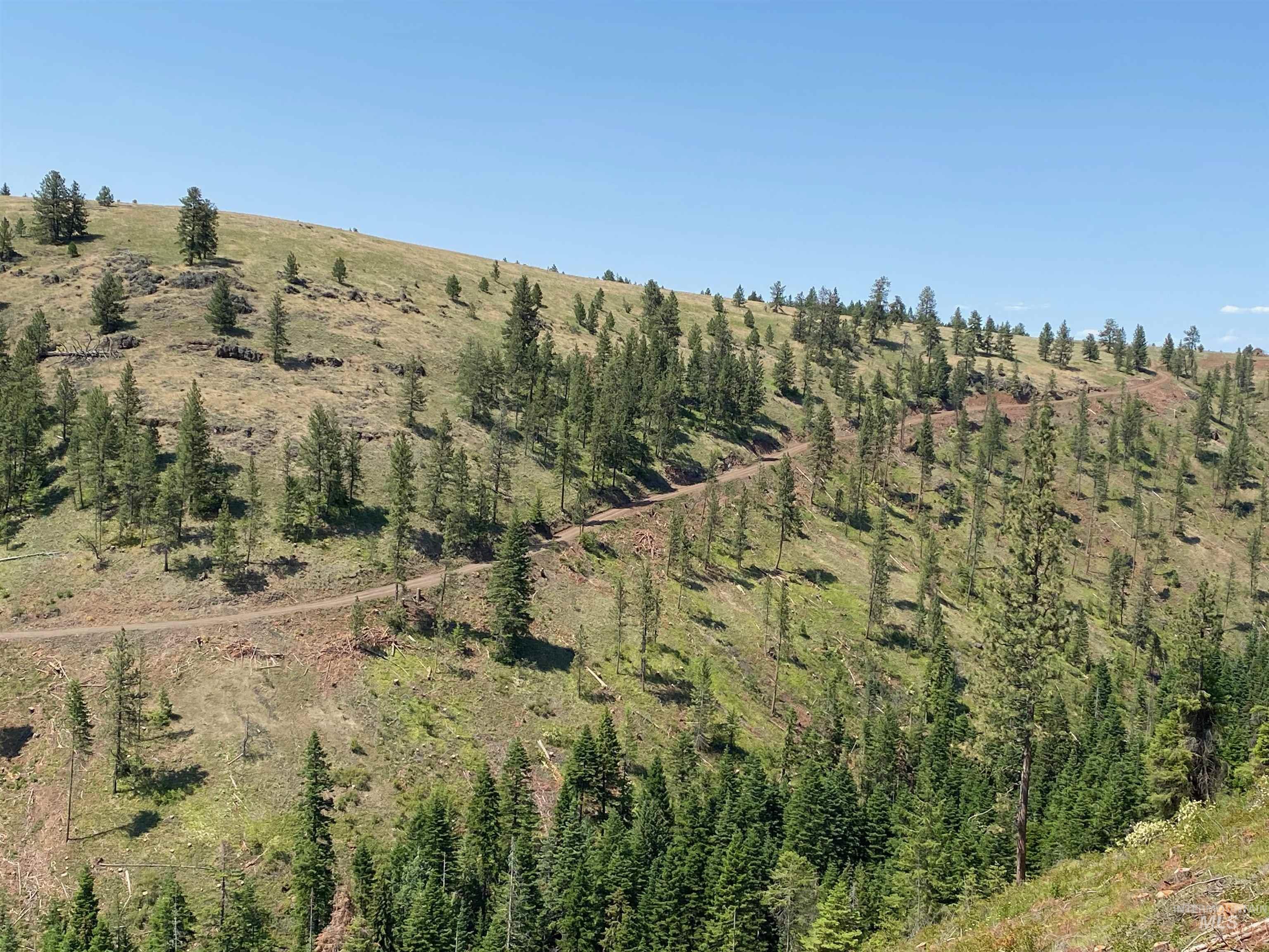 NNA Cloverland Road, Asotin, Washington 99402, Land For Sale, Price $2,400,000,MLS 98883206