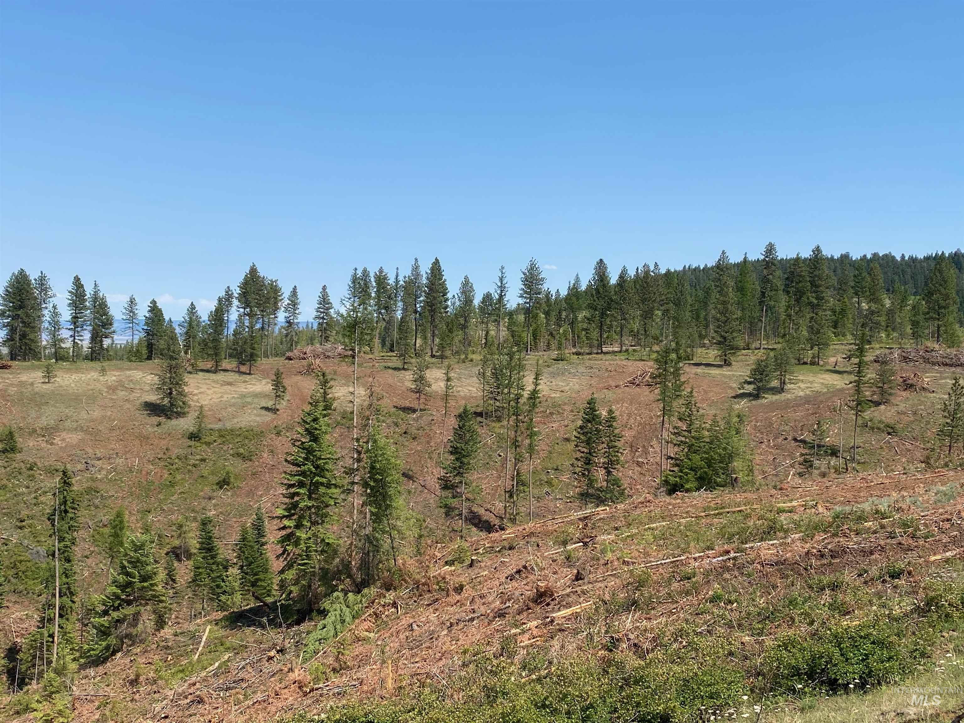 NNA Cloverland Road, Asotin, Washington 99402, Land For Sale, Price $2,400,000,MLS 98883206