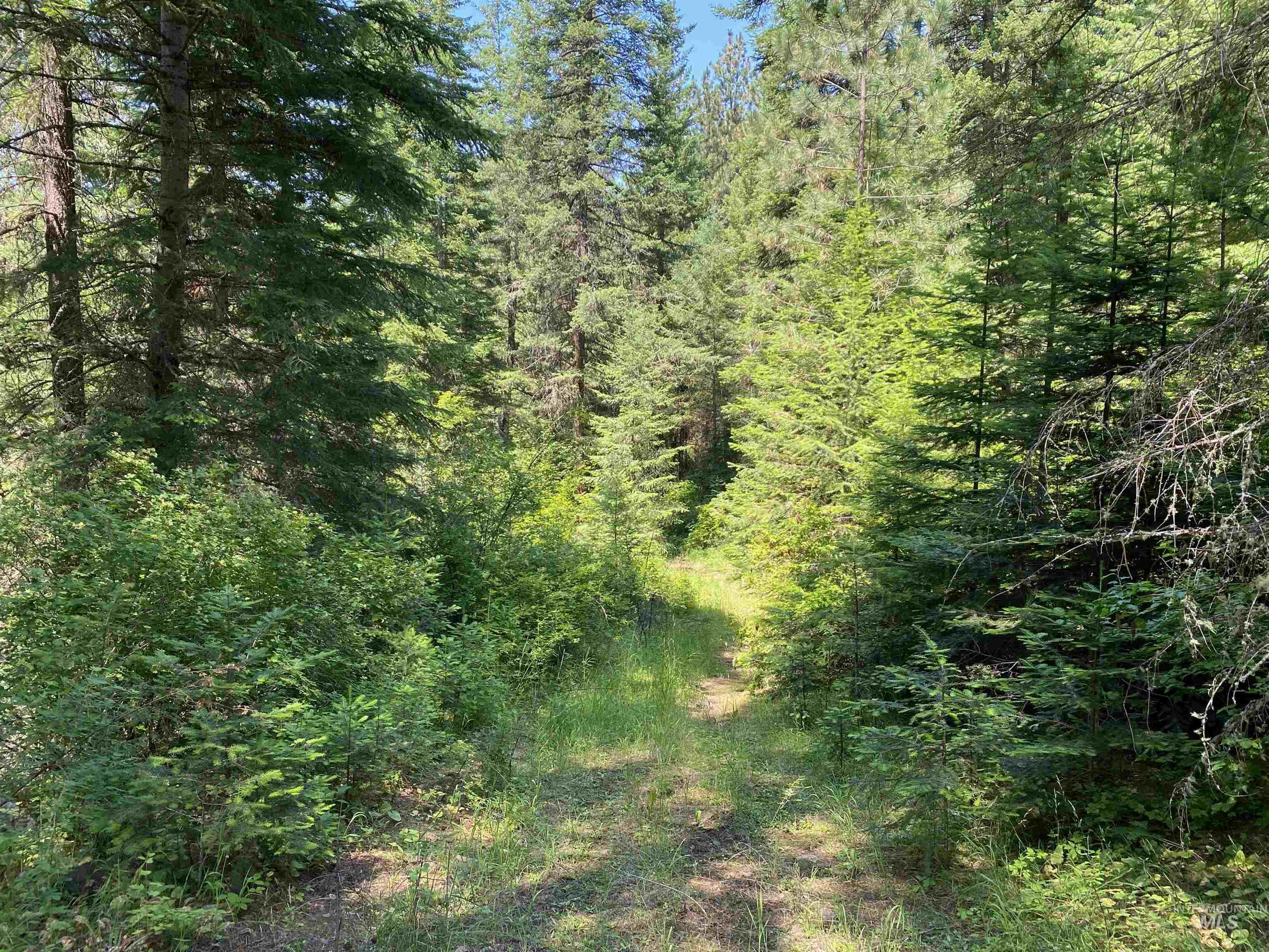 NNA Cloverland Road, Asotin, Washington 99402, Land For Sale, Price $2,400,000,MLS 98883206