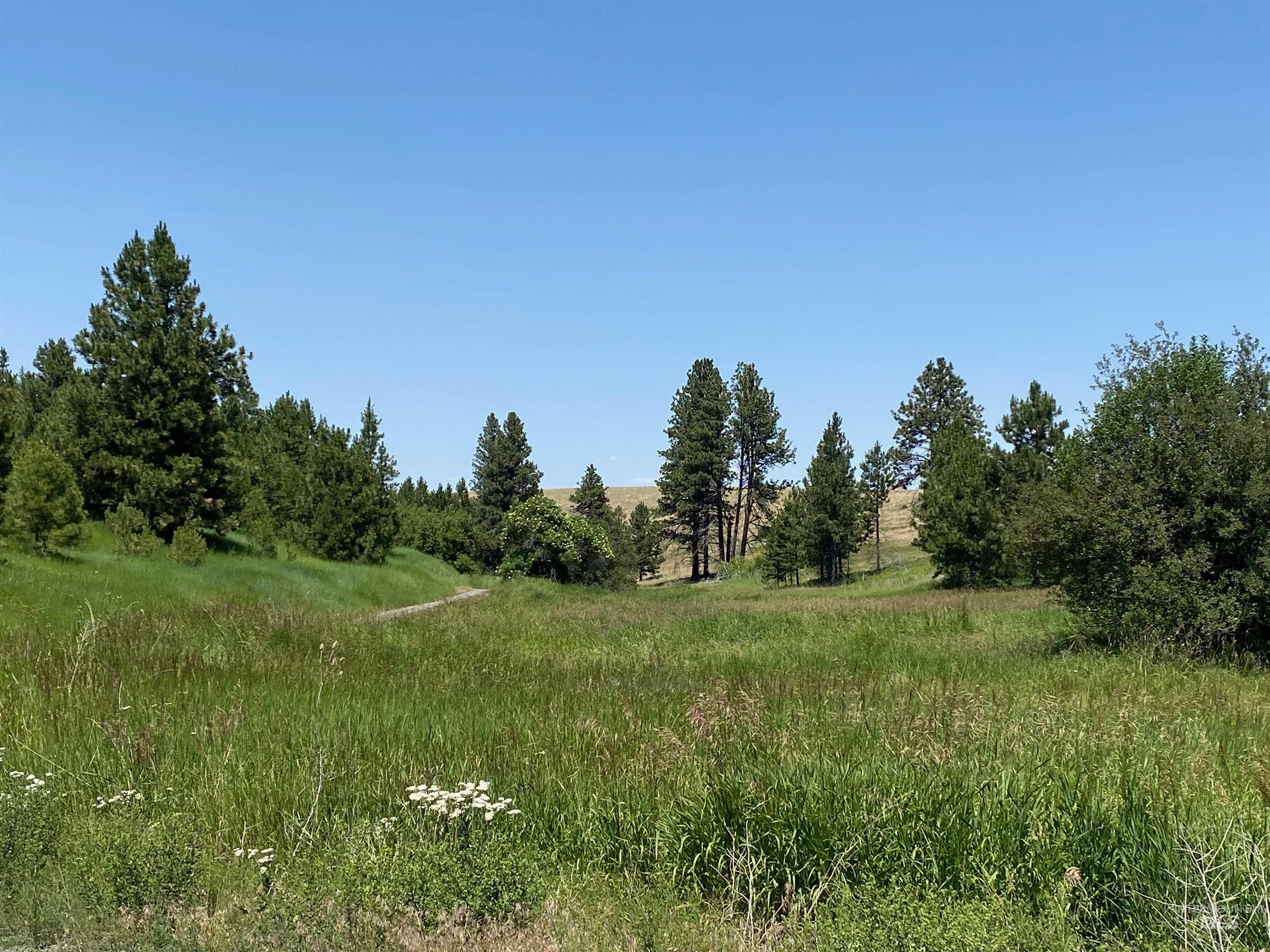NNA Cloverland Road, Asotin, Washington 99402, Land For Sale, Price $2,400,000,MLS 98883206